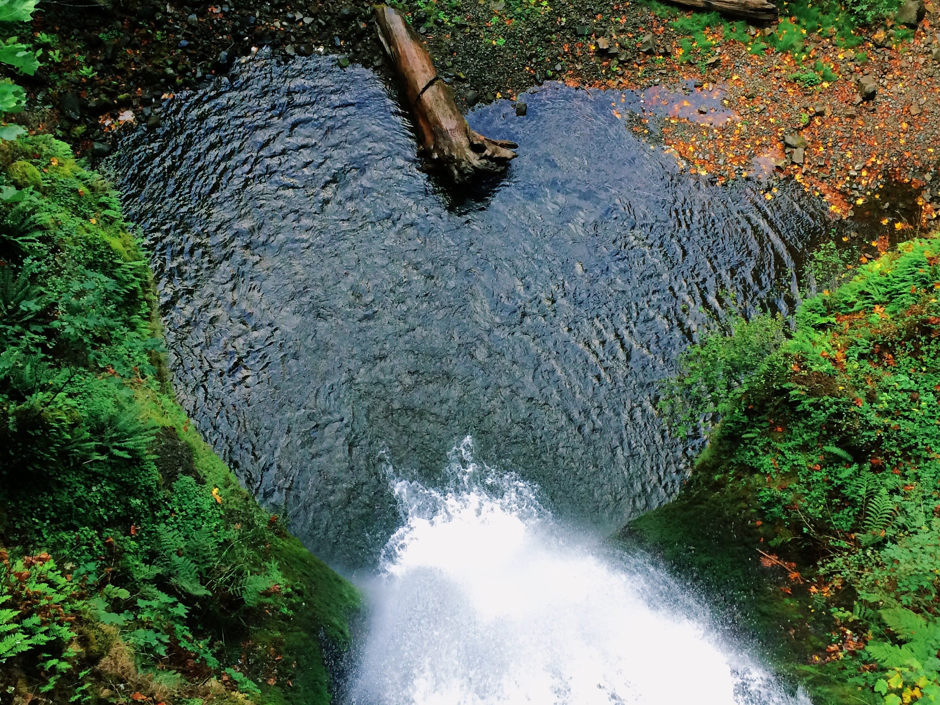 a top view of a waterfall tumbling down into a heart shaped pond, heart shaped pond with a waterfall 4k, HD Wallpaper