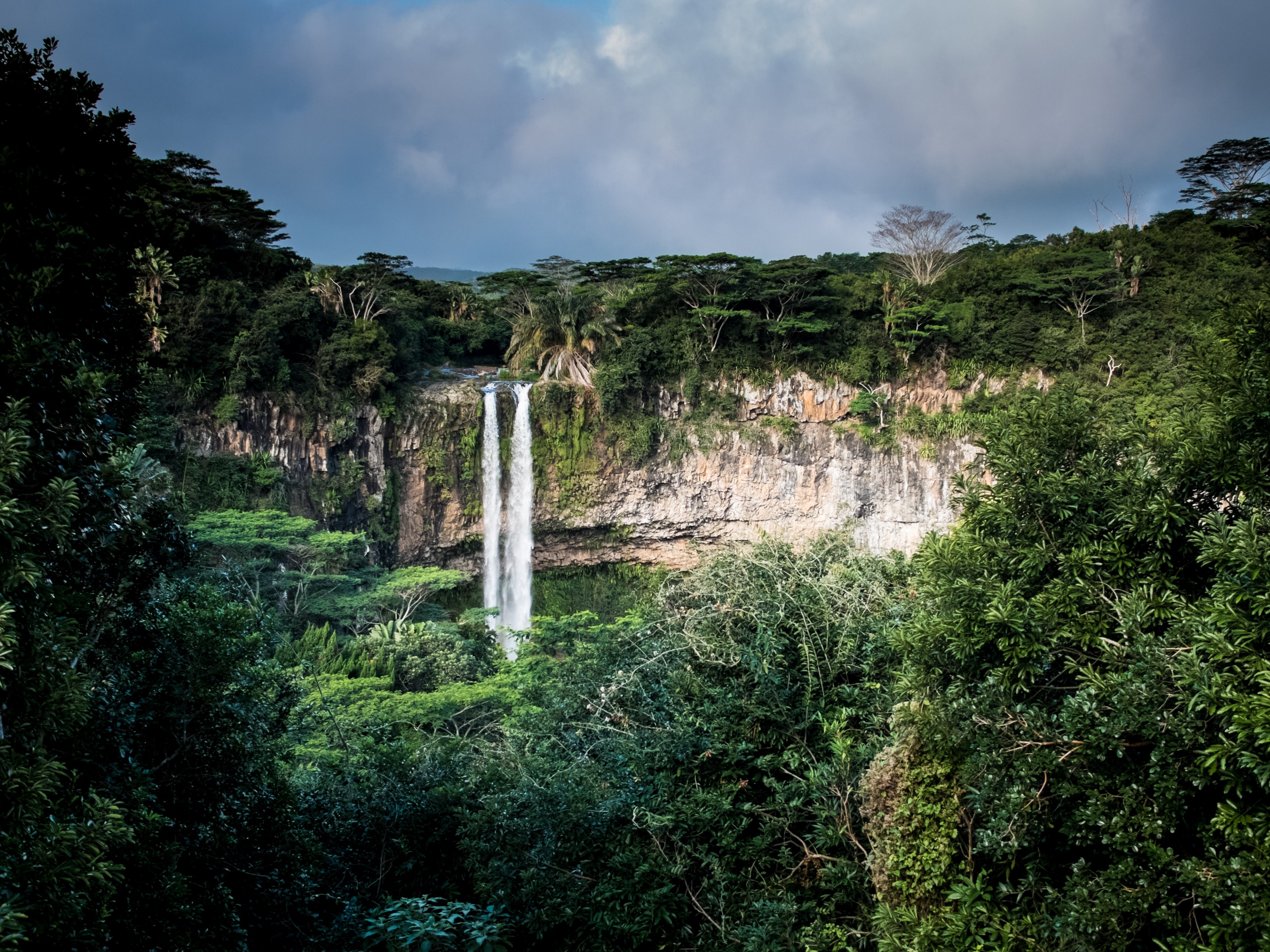 a waterfall pouring down from a forested cliff, woods near chamarel waterfall 4k, HD Wallpaper