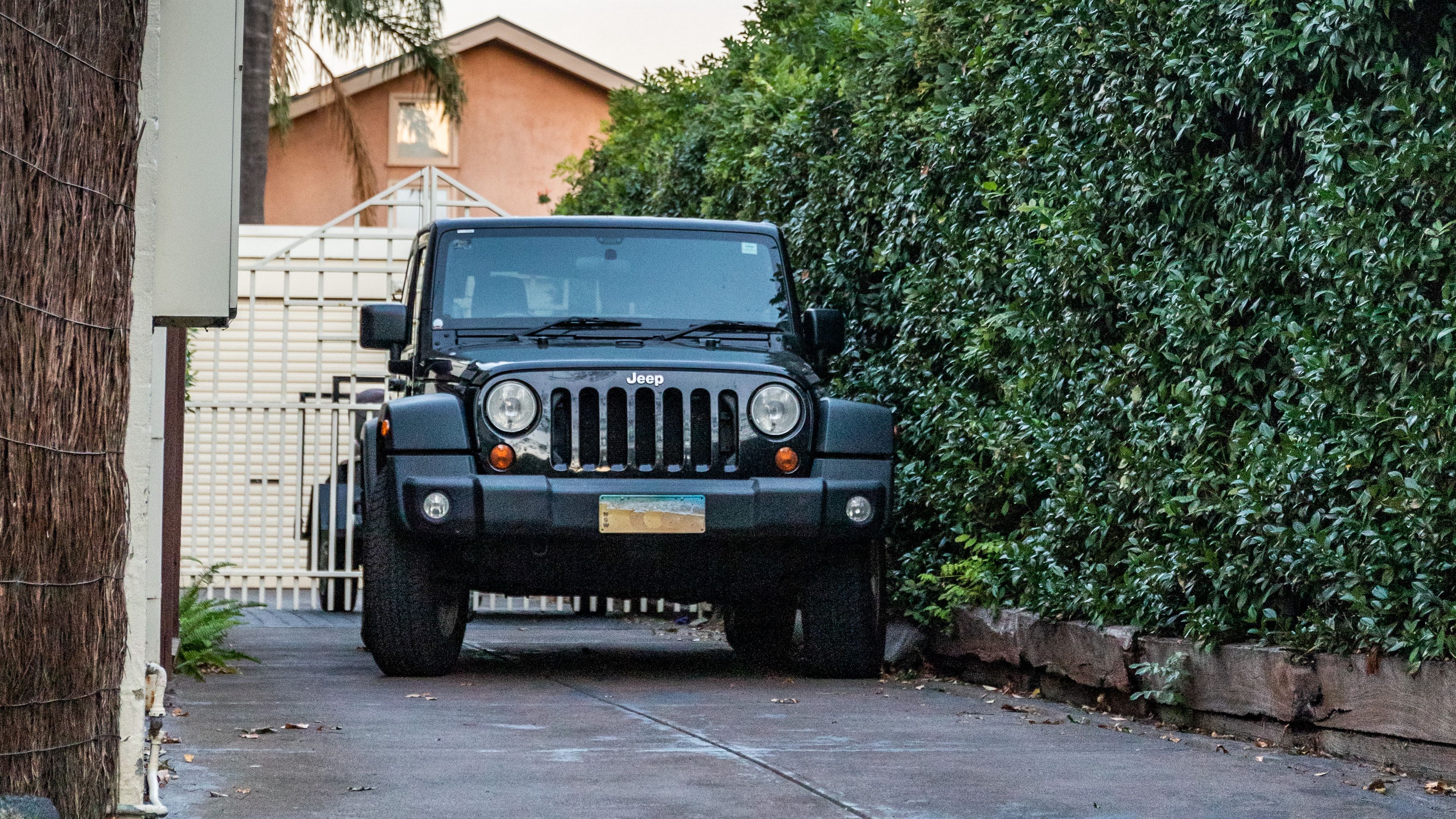 jeep, suv, black, palm, 4k, HD Wallpaper