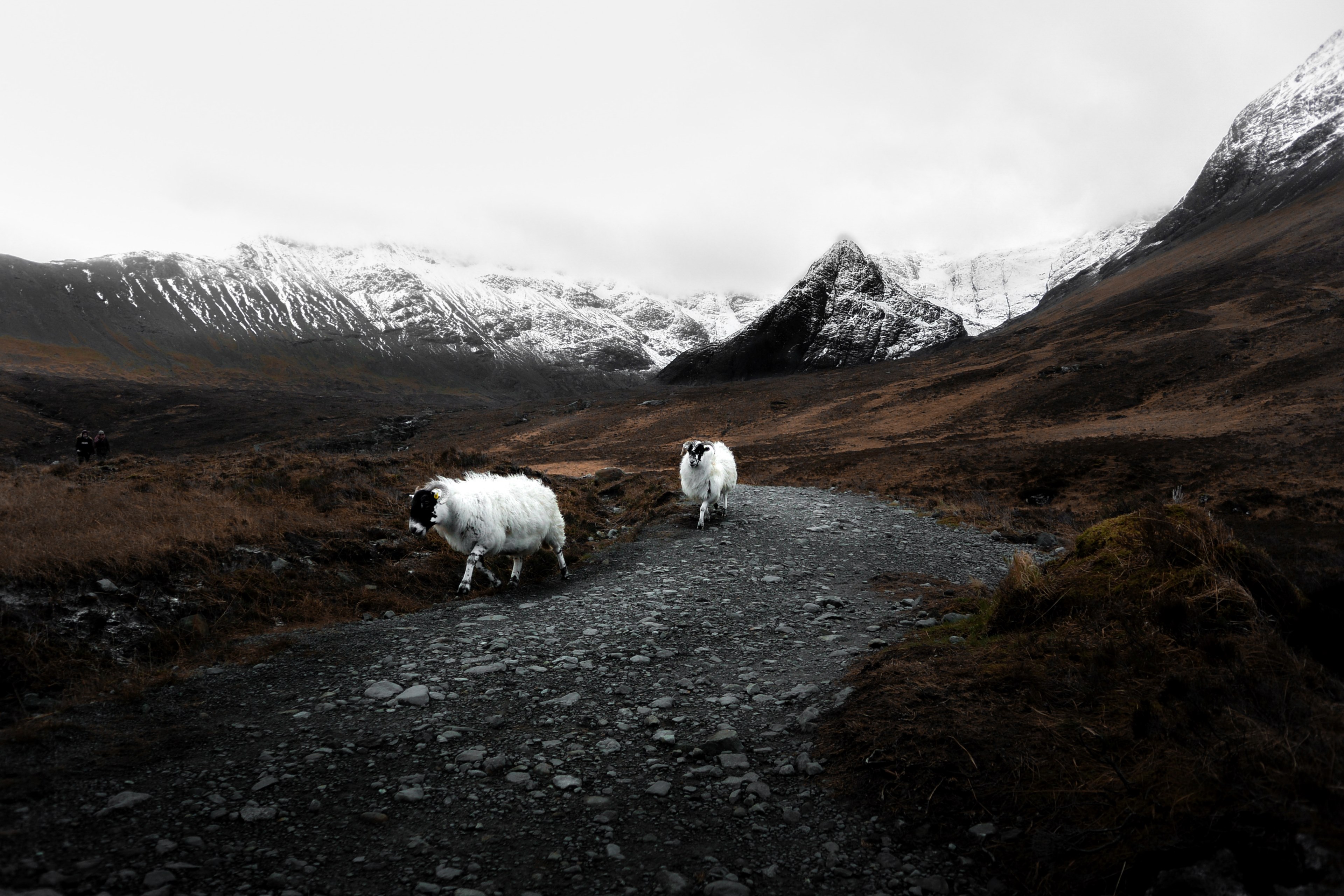 guardians of the fairy pools 4k, HD Wallpaper