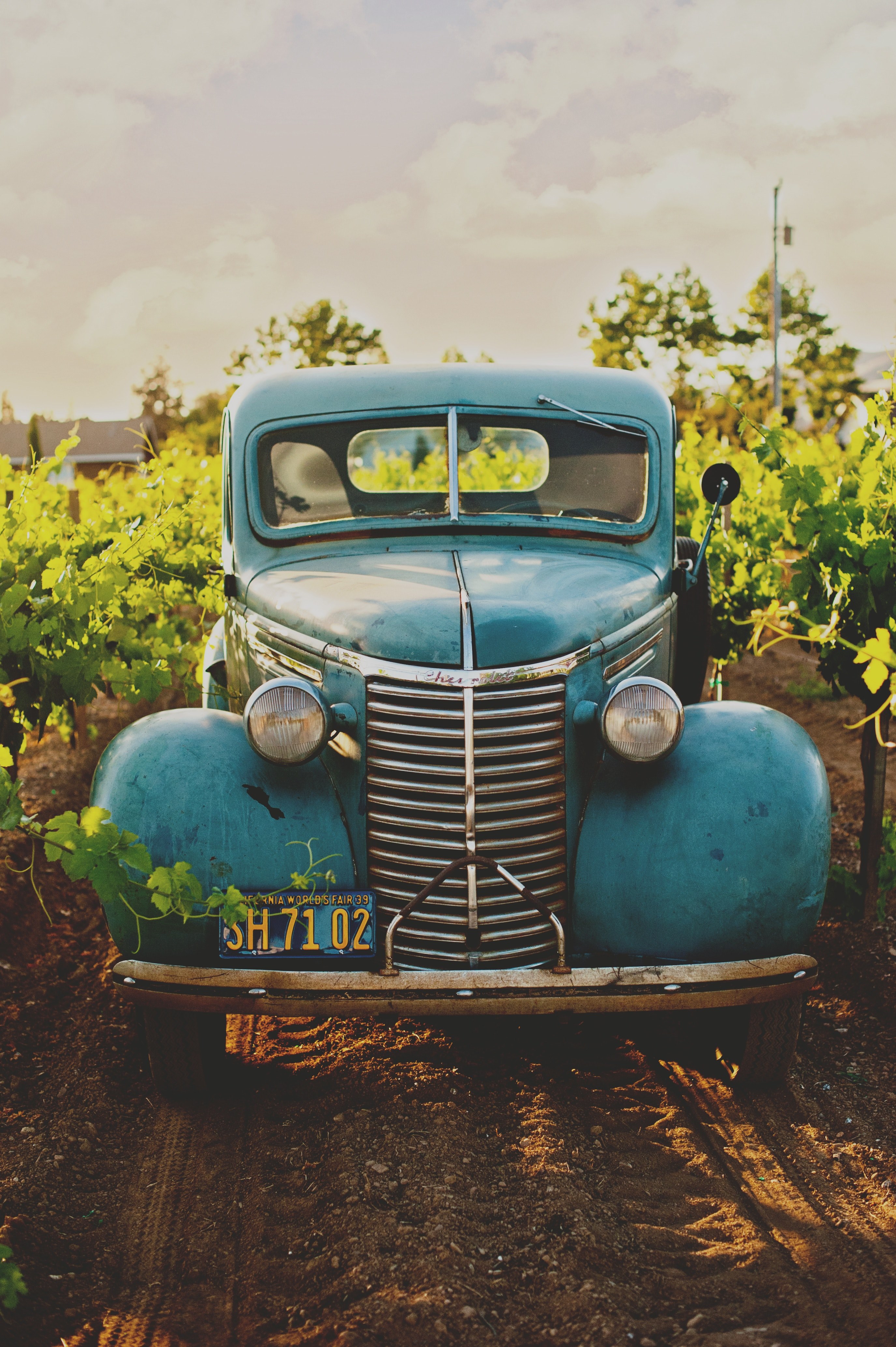 front view of a vintage blue hot rod on a dirt road surrounded by plants and trees, _blue vintage car on a dirt road 4k, Phone HD Wallpaper