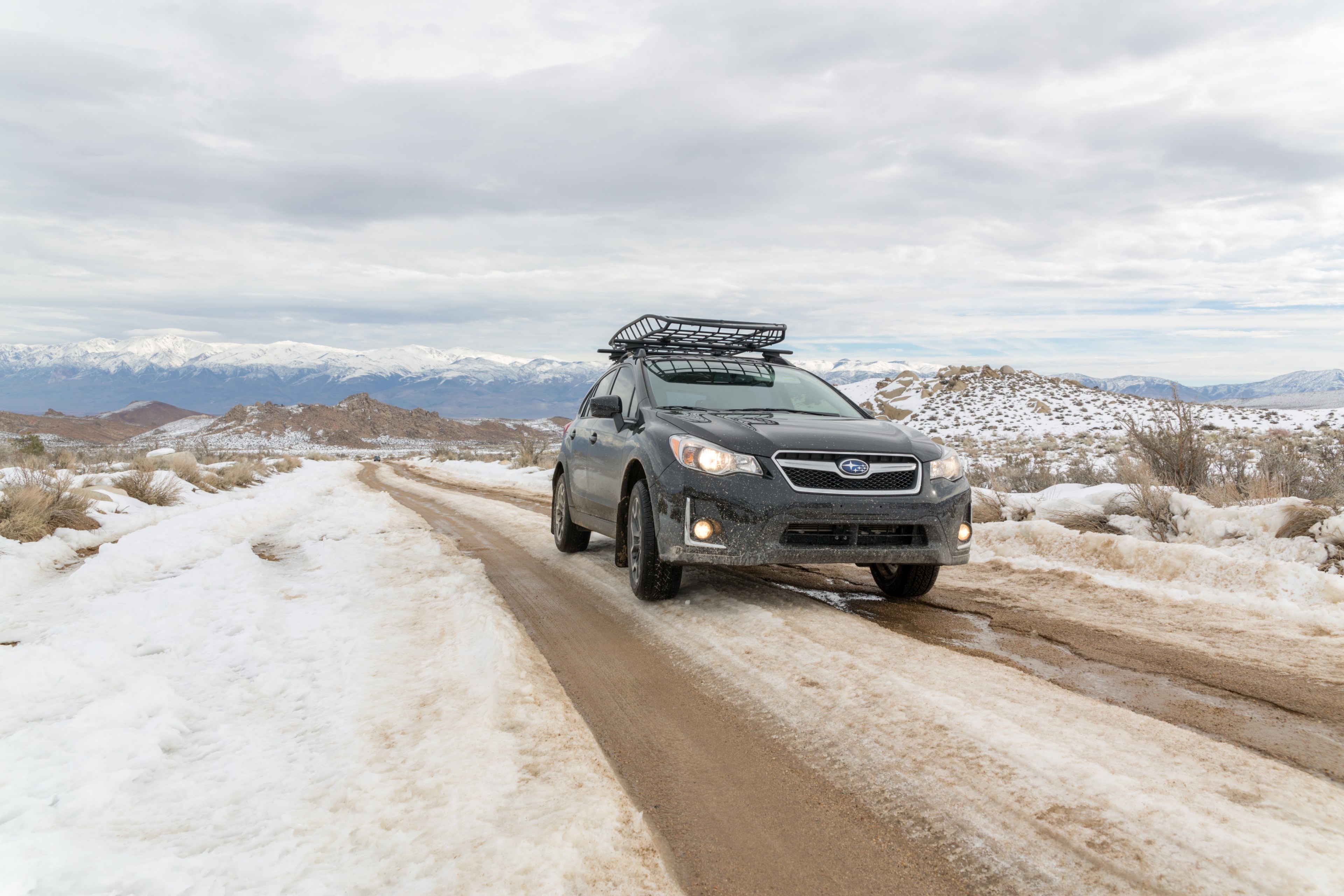 4x4 offroad peak and tree 4k, HD Wallpaper