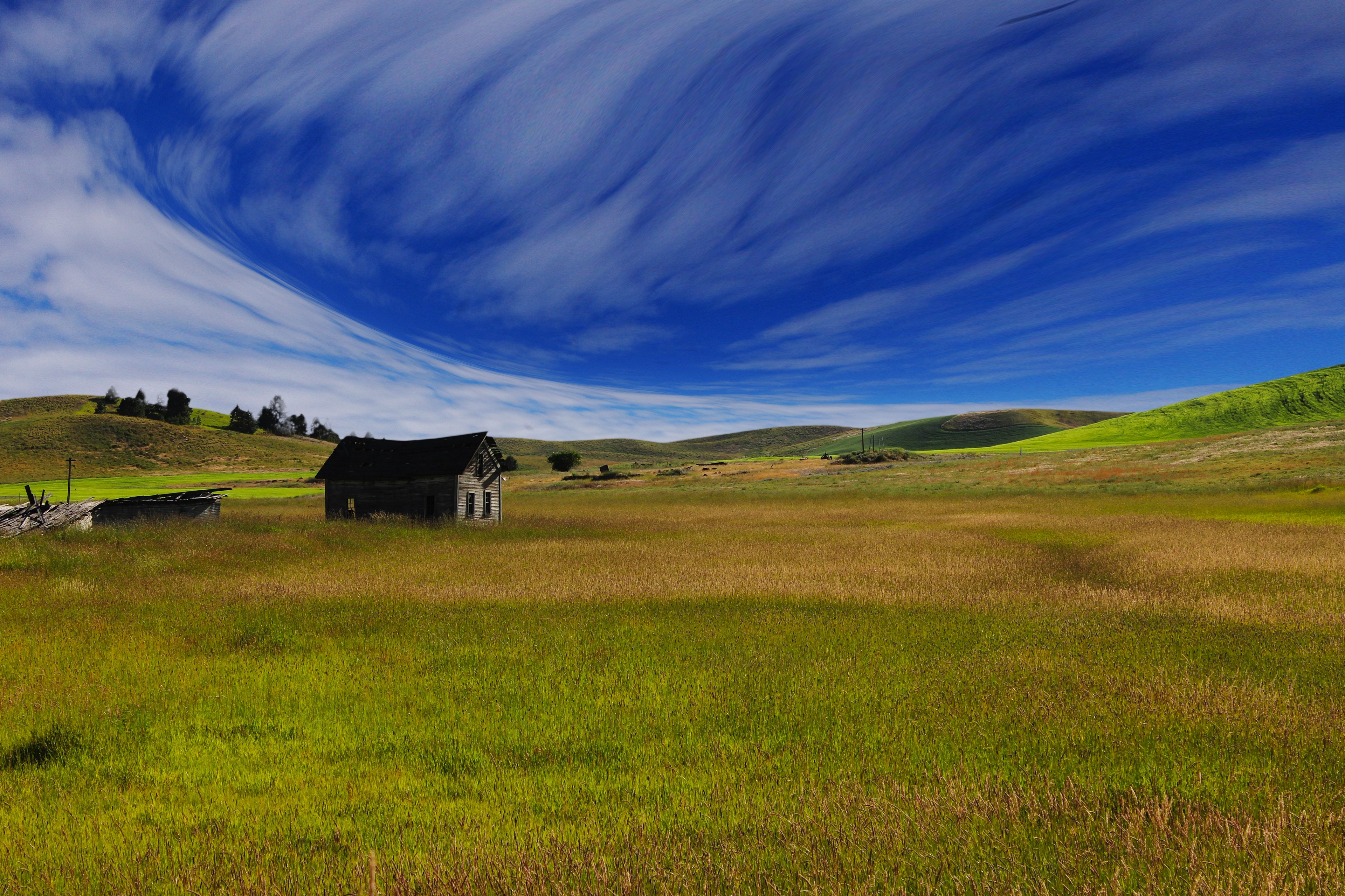 a wooden shack in the middle of a green and yellow field, the cabin 4k, HD Wallpaper