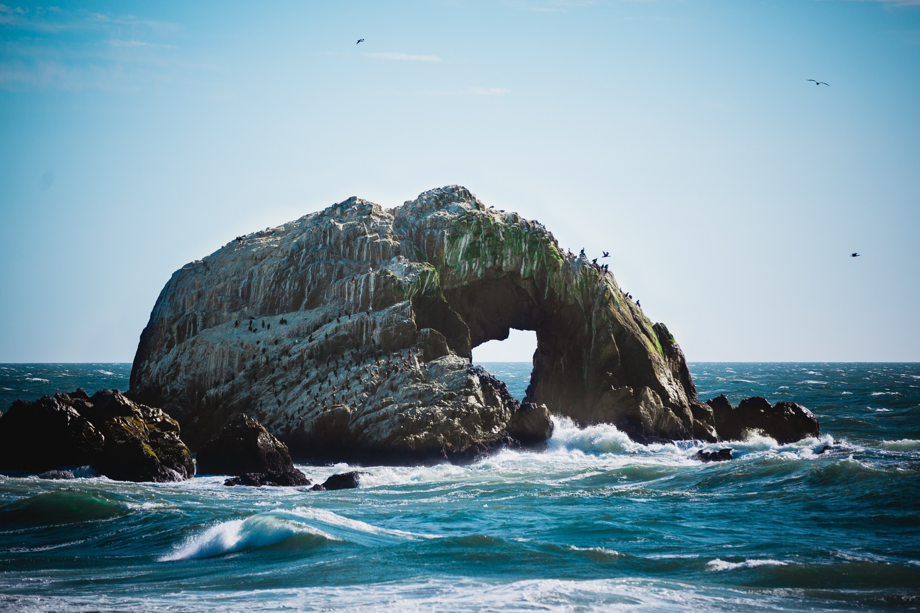 flocking birds on a rocky arch in the middle of the sea, natural rock arch in the sea 4k, HD Wallpaper