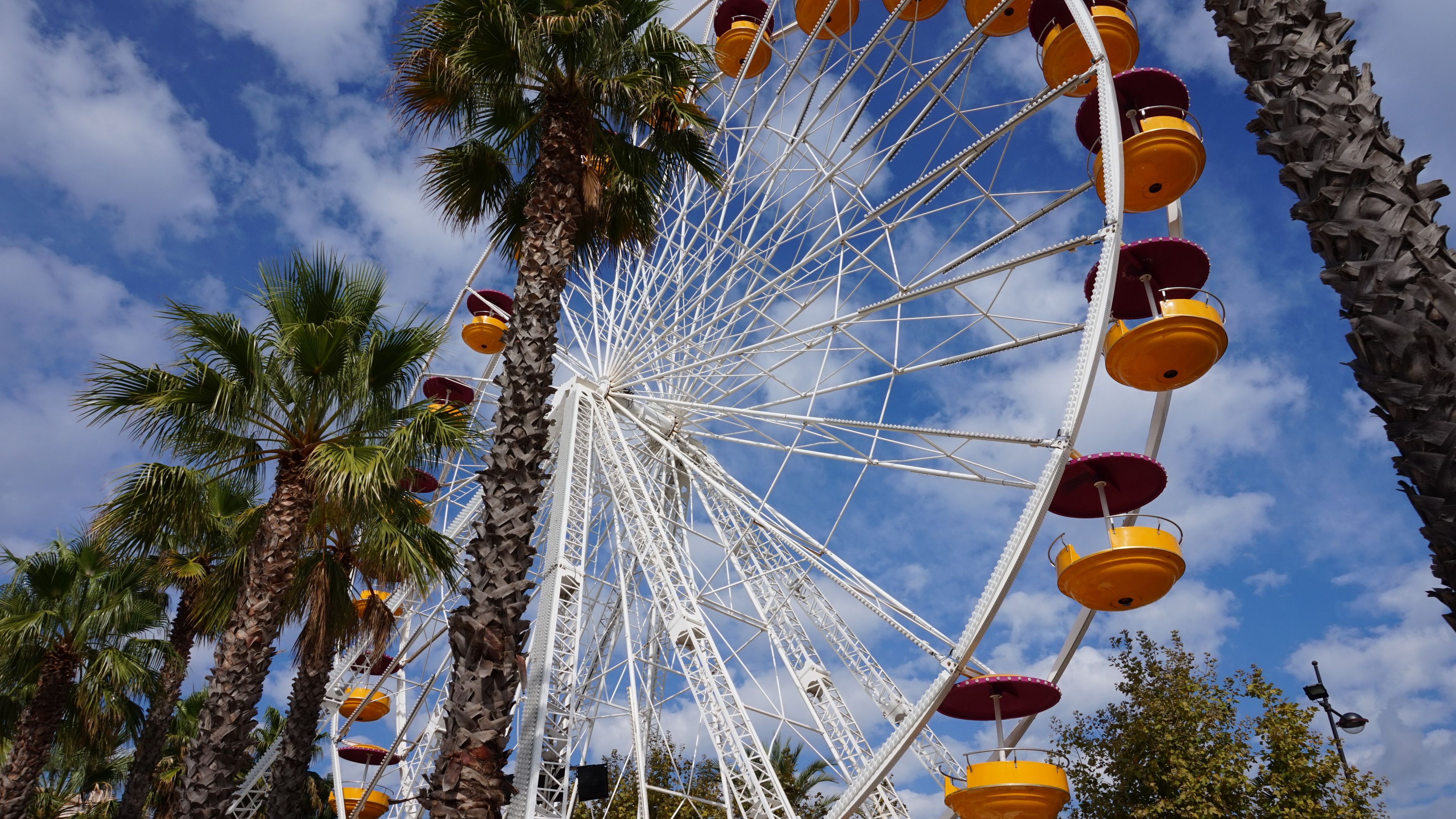 ferris wheel, amusement, palm trees, 4k, HD Wallpaper