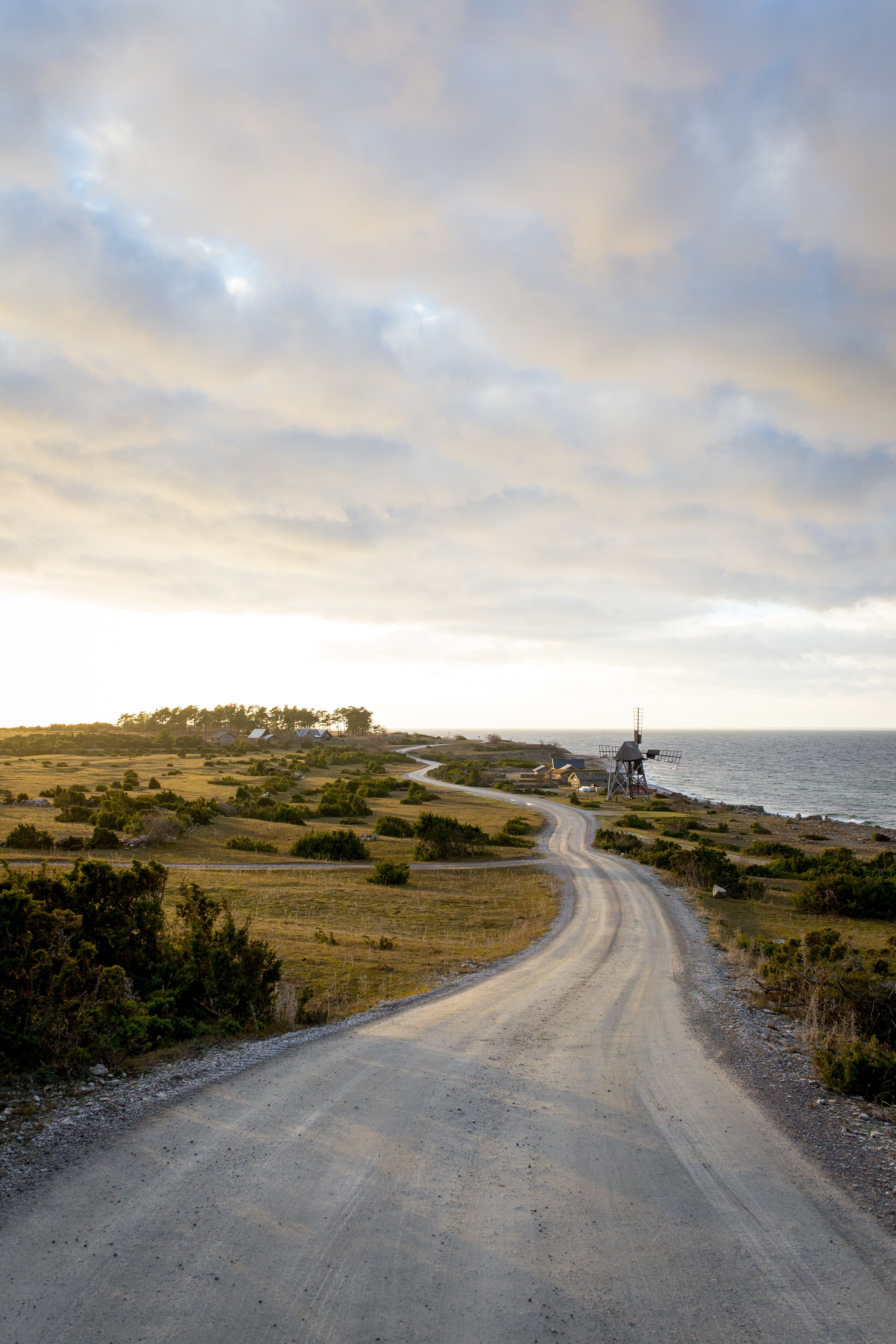 road windmill tree and ocean hd, 4k, Phone HD Wallpaper