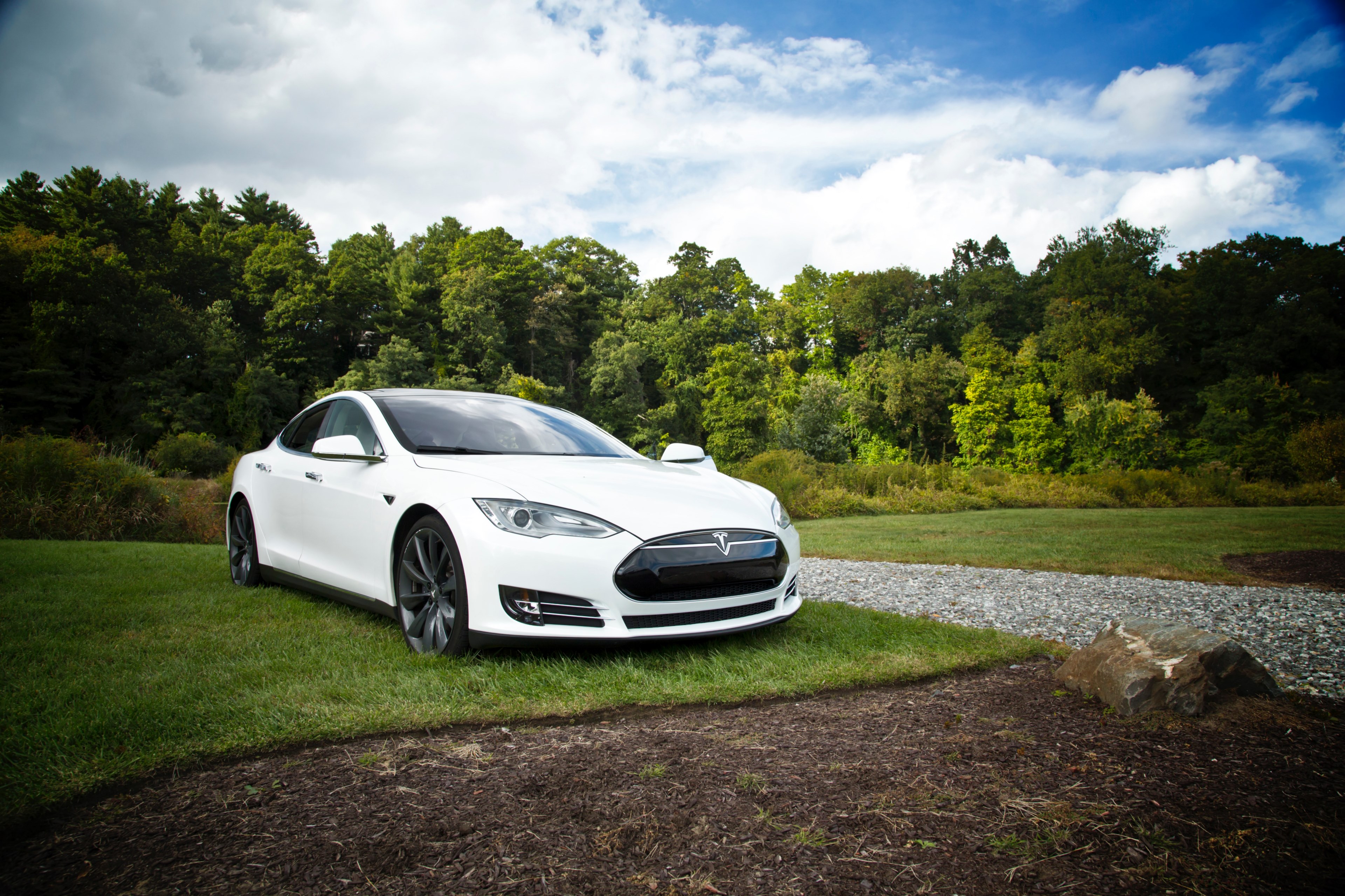 white luxury sports car parked in a forest landscape, white sports car 4k, HD Wallpaper