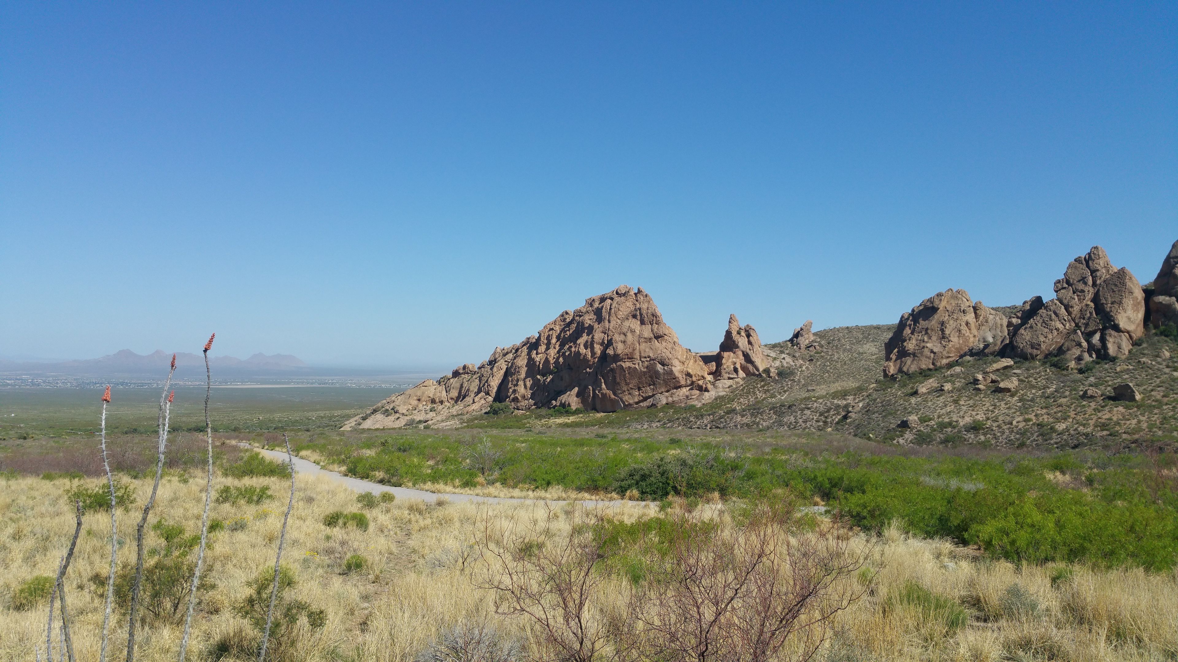 mountains, grass, trail, new mexico, 4k, HD Wallpaper