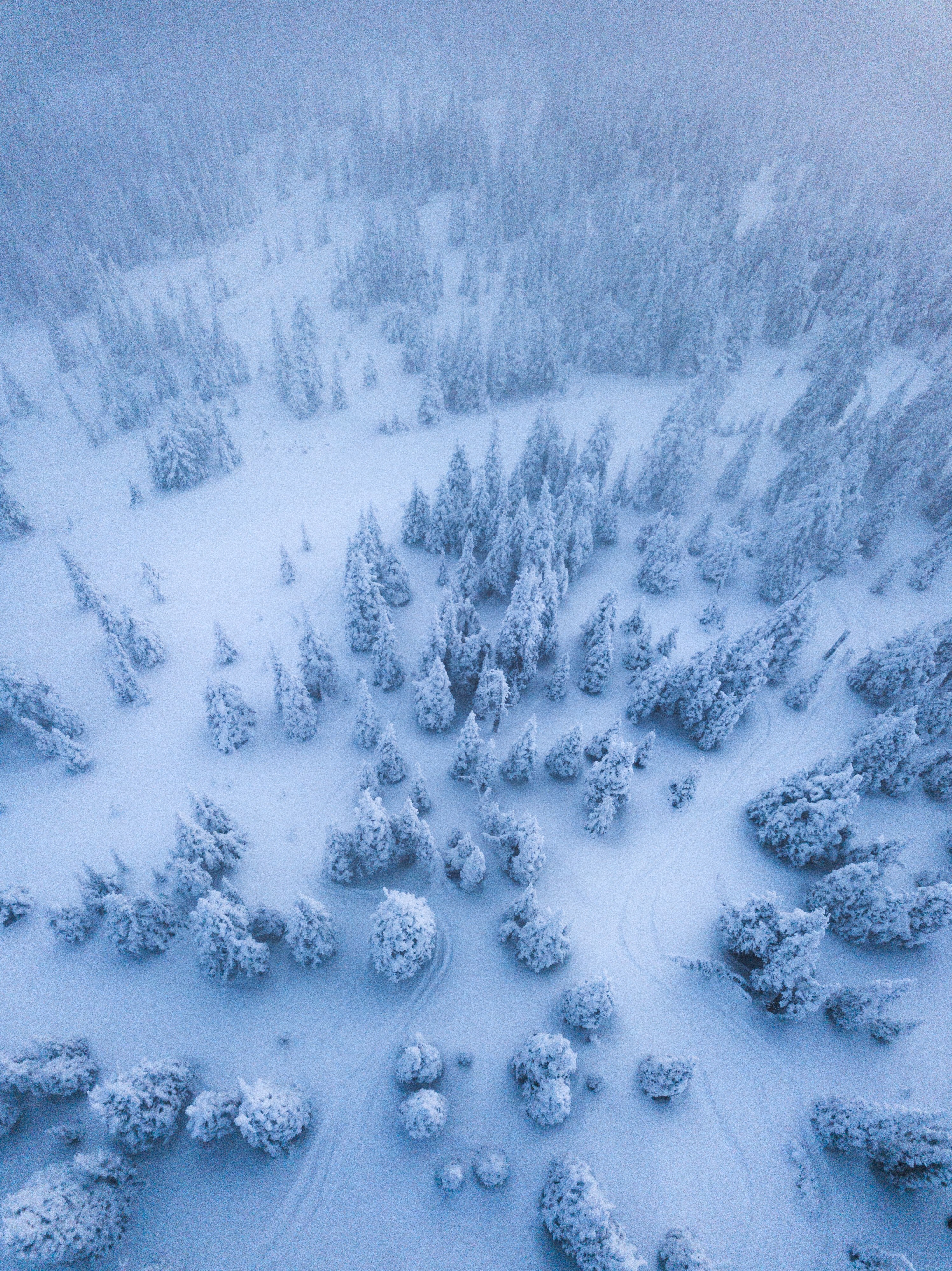searching for new lines 4k, Phone HD Wallpaper