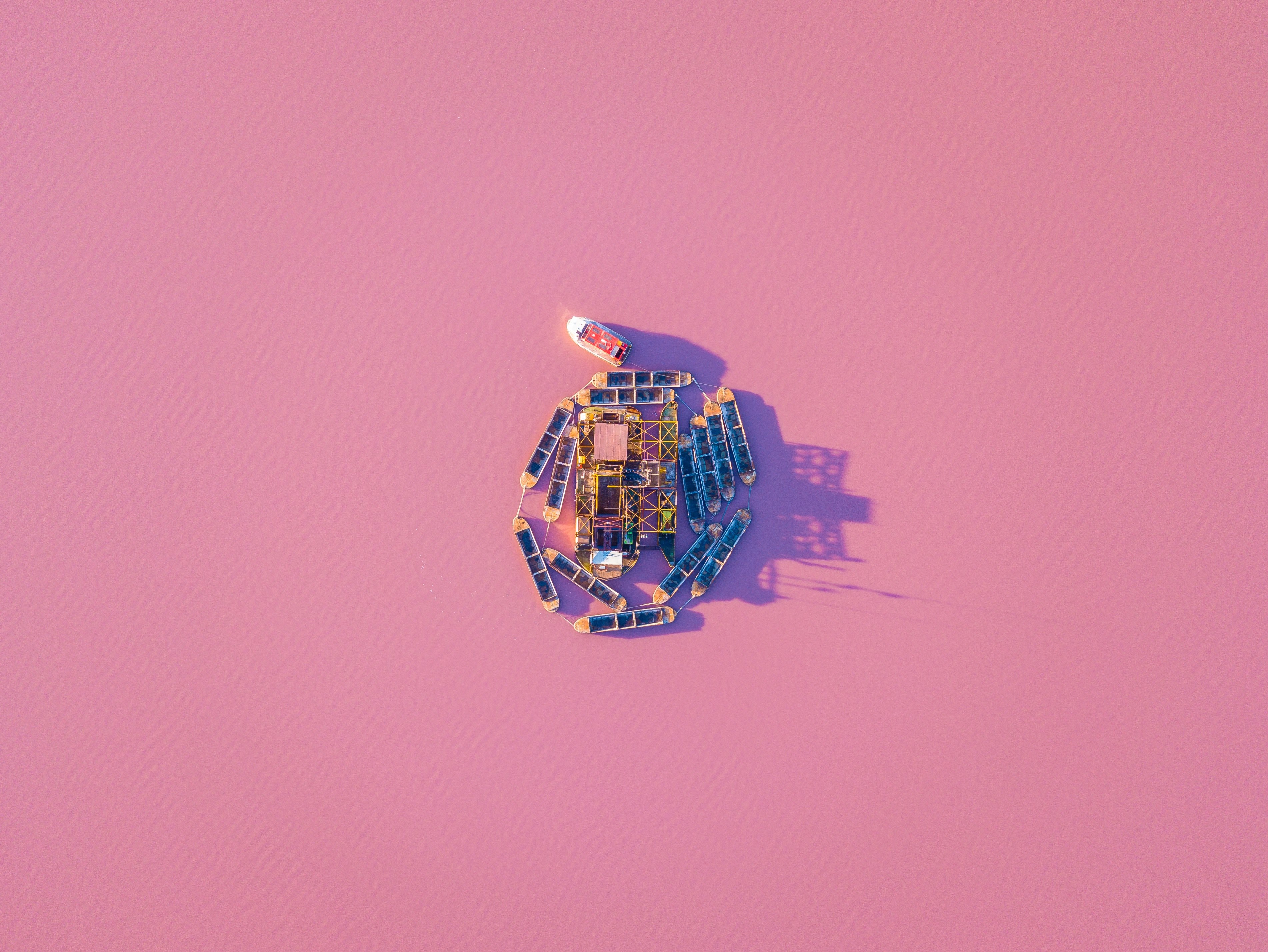 yeah its a real pink lake 4k, HD Wallpaper