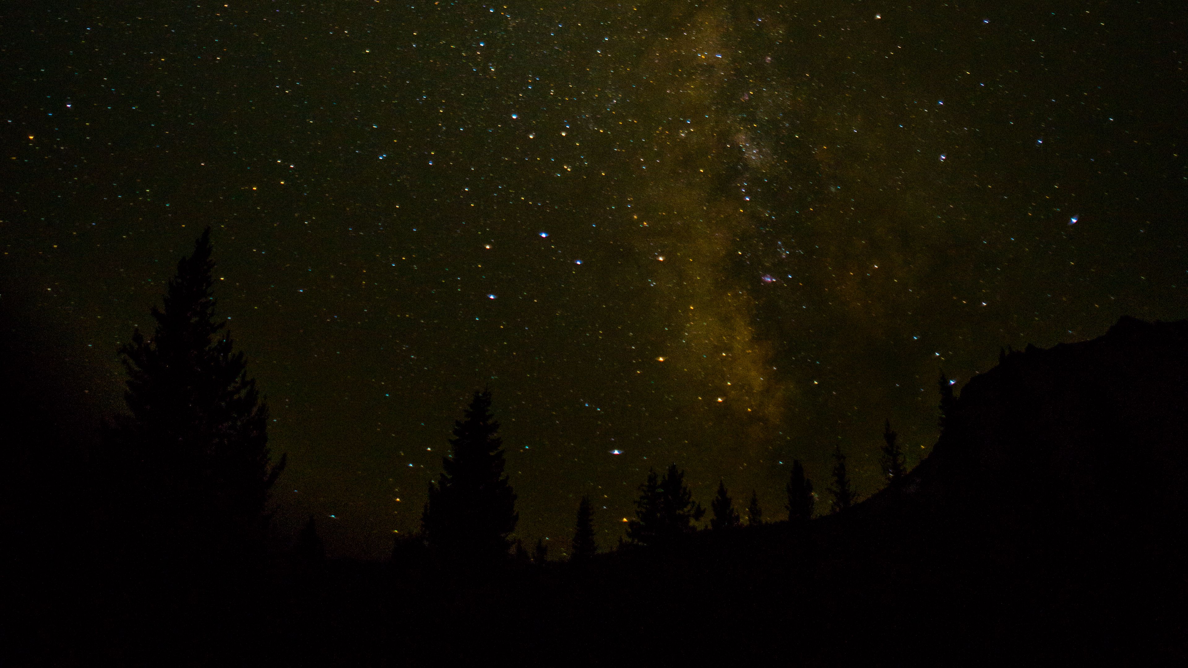 space, starry sky, trees, 4k, HD Wallpaper