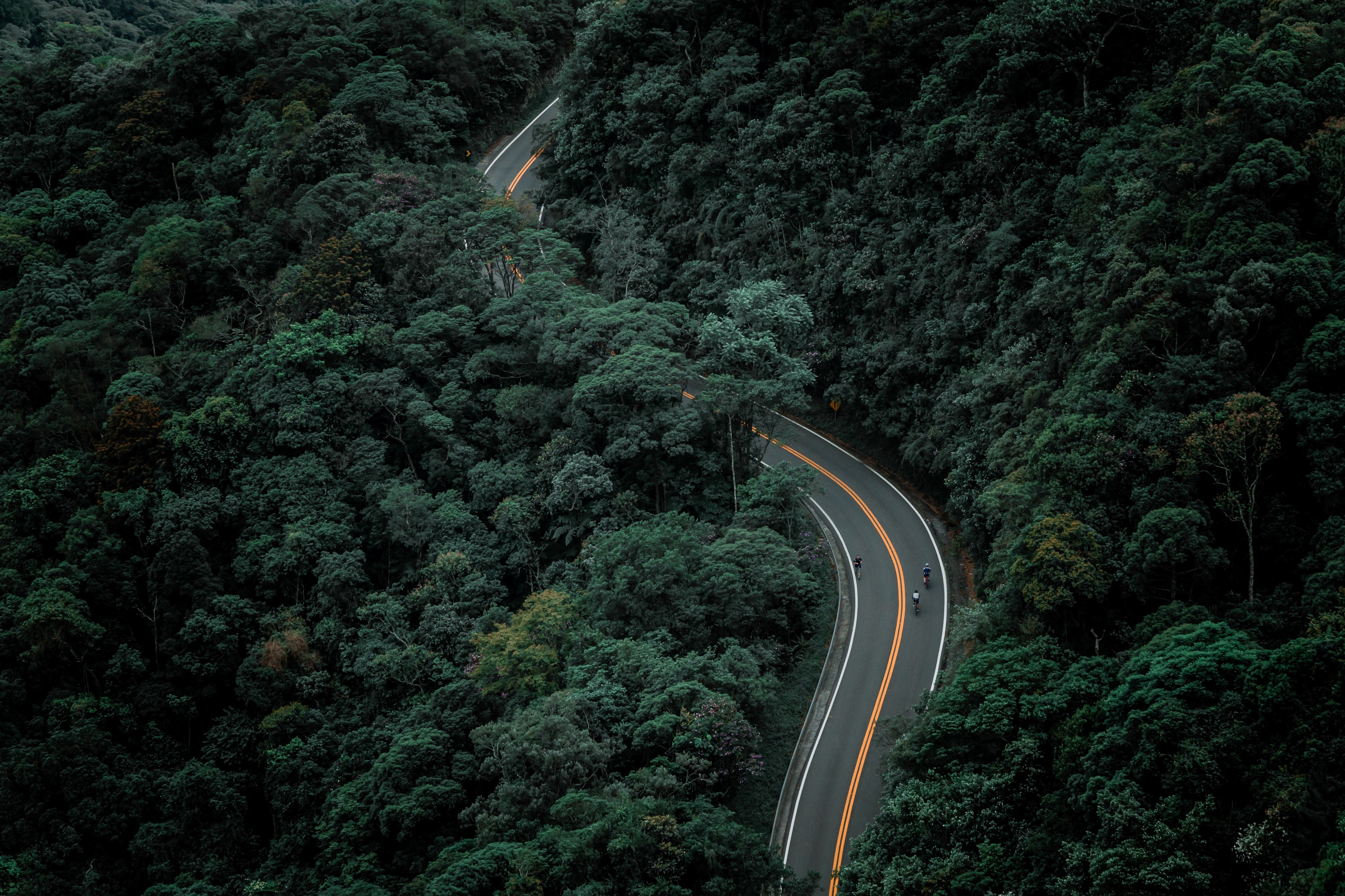 hit the road 4k, HD Wallpaper