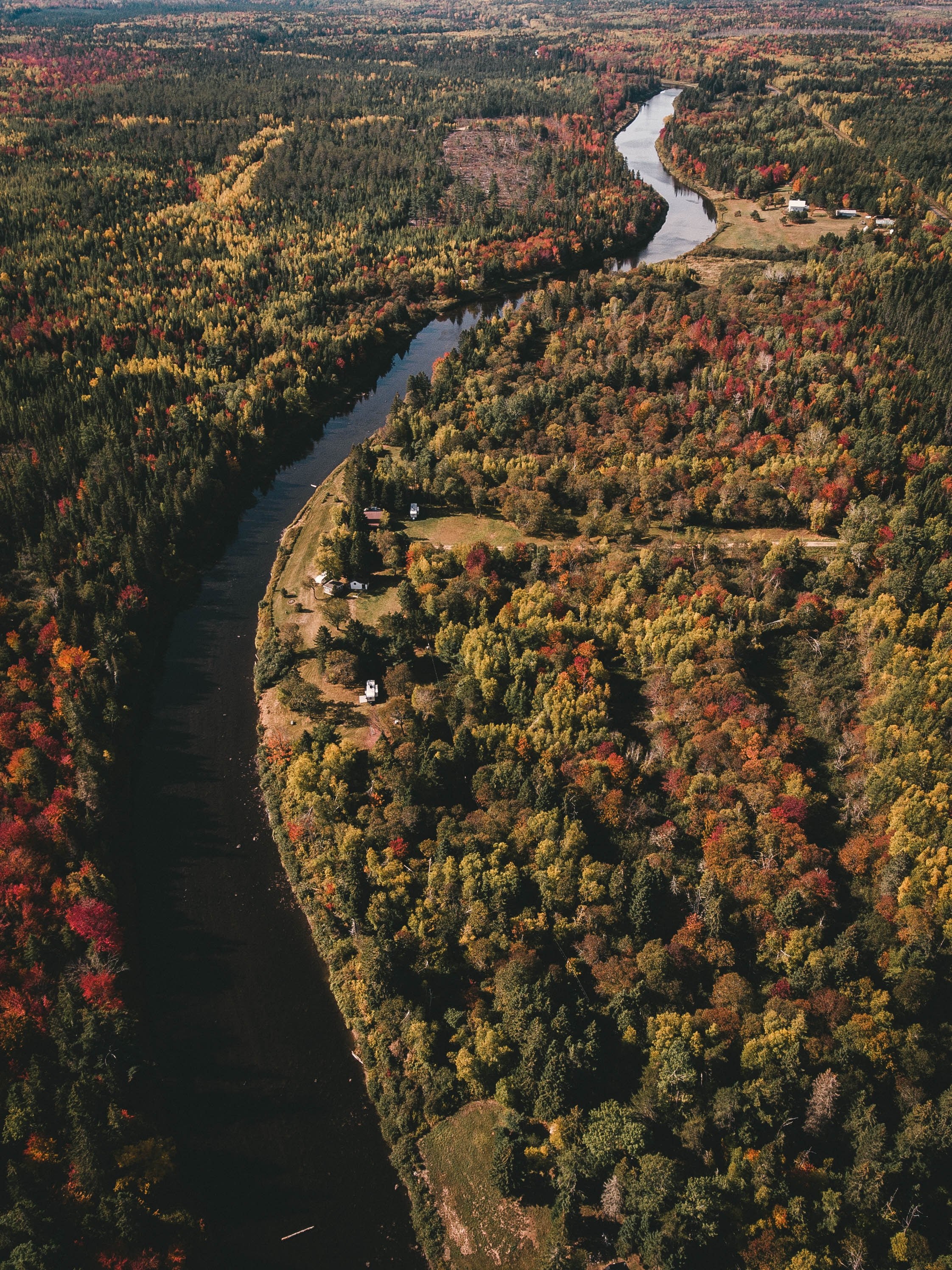 hunting trip 4k, Phone HD Wallpaper