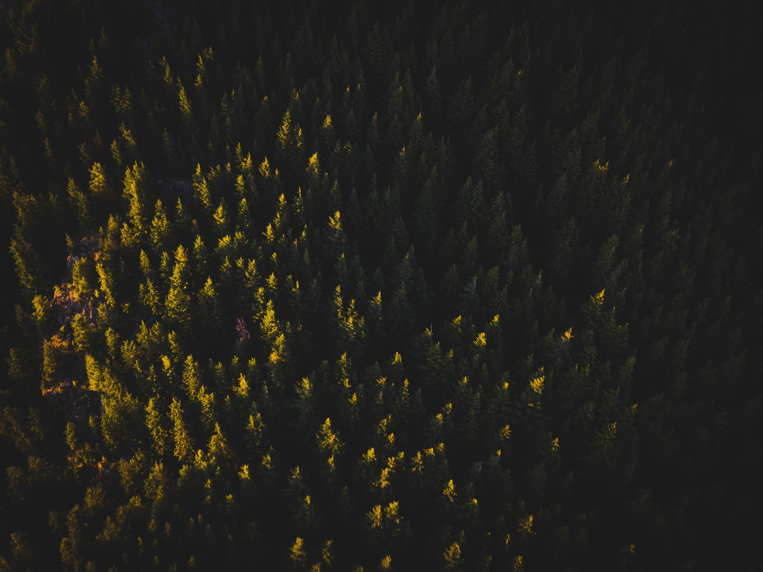just the tip 4k, HD Wallpaper