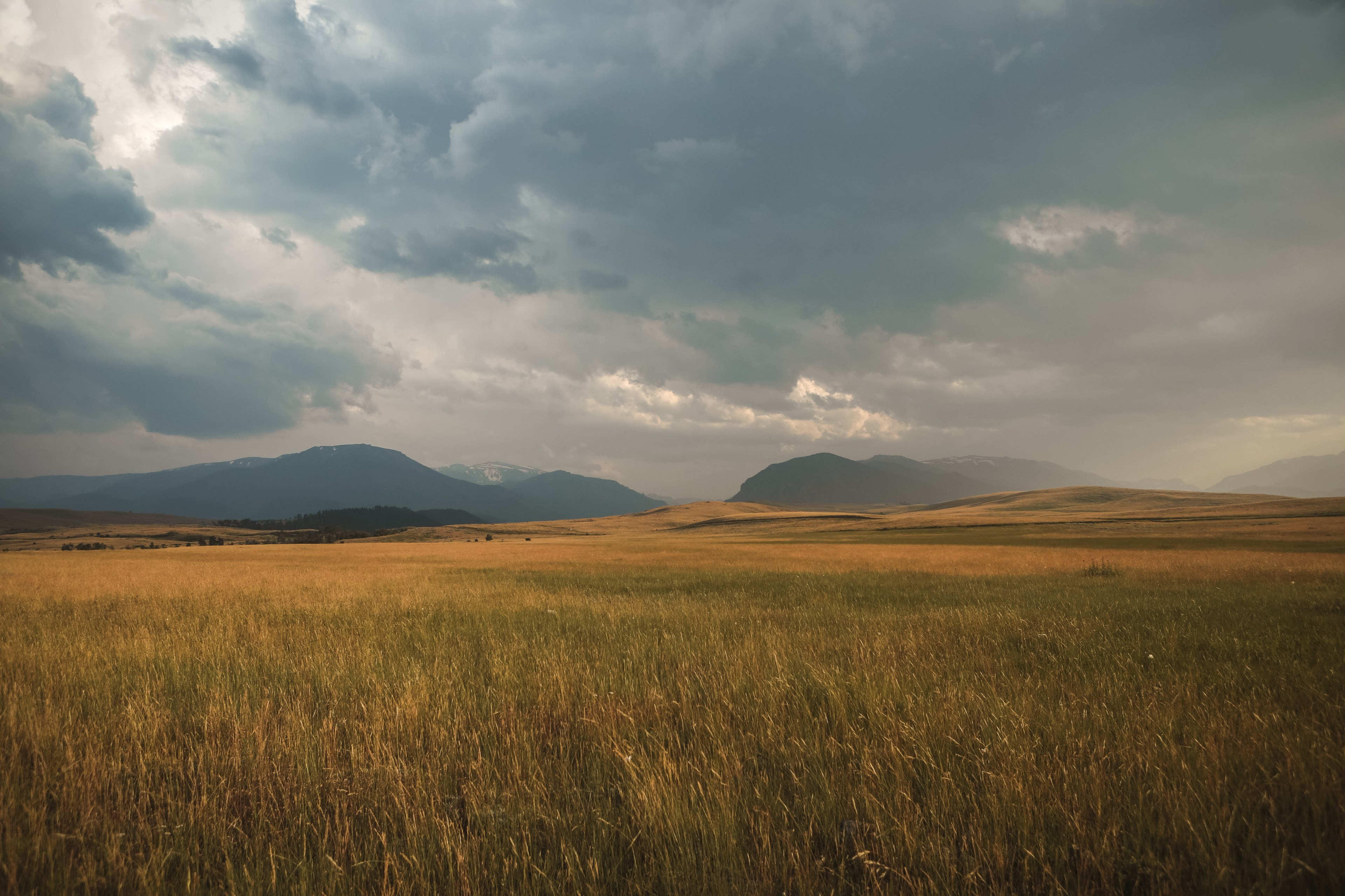 a windswept meadow with green and yellow grass stretches towards the mountains in the distance, meadow under heavy clouds 4k, HD Wallpaper