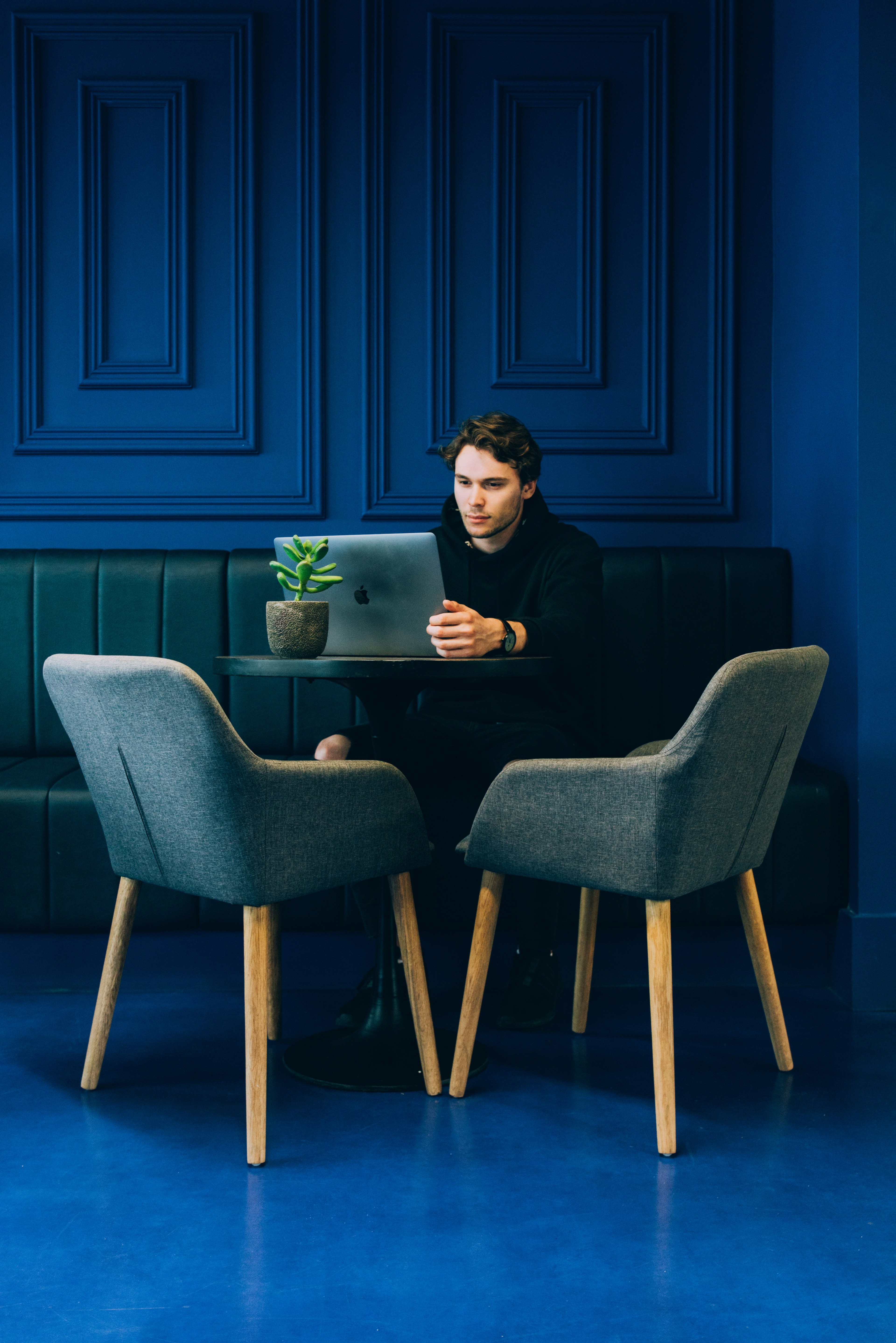 a man looking at a laptop on a leather seat at a blue wall, working at a blue coffee shop 4k, Phone HD Wallpaper