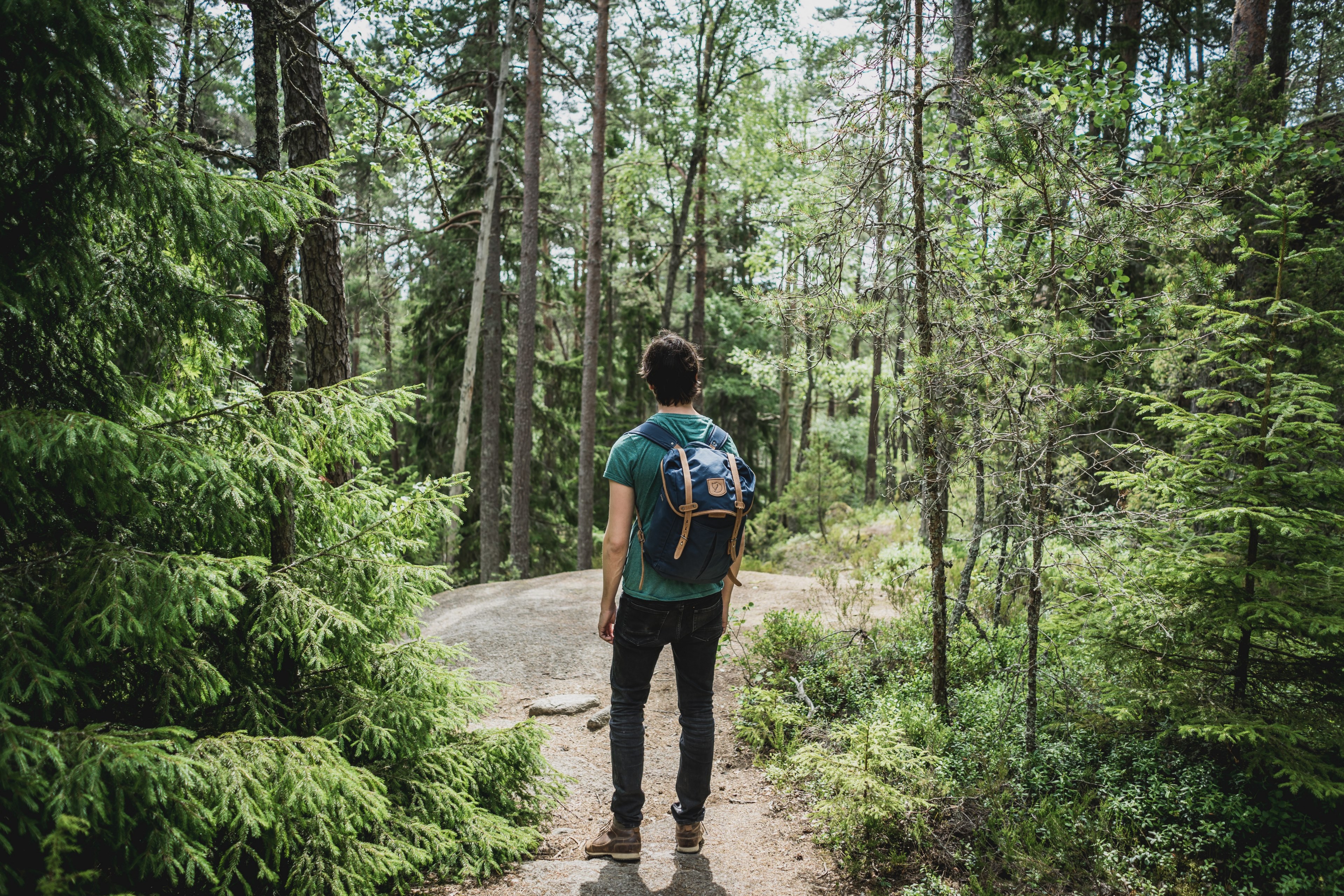 hiker standing alone in a clearing in the woods on a sunny hike, sunny hike alone 4k, HD Wallpaper