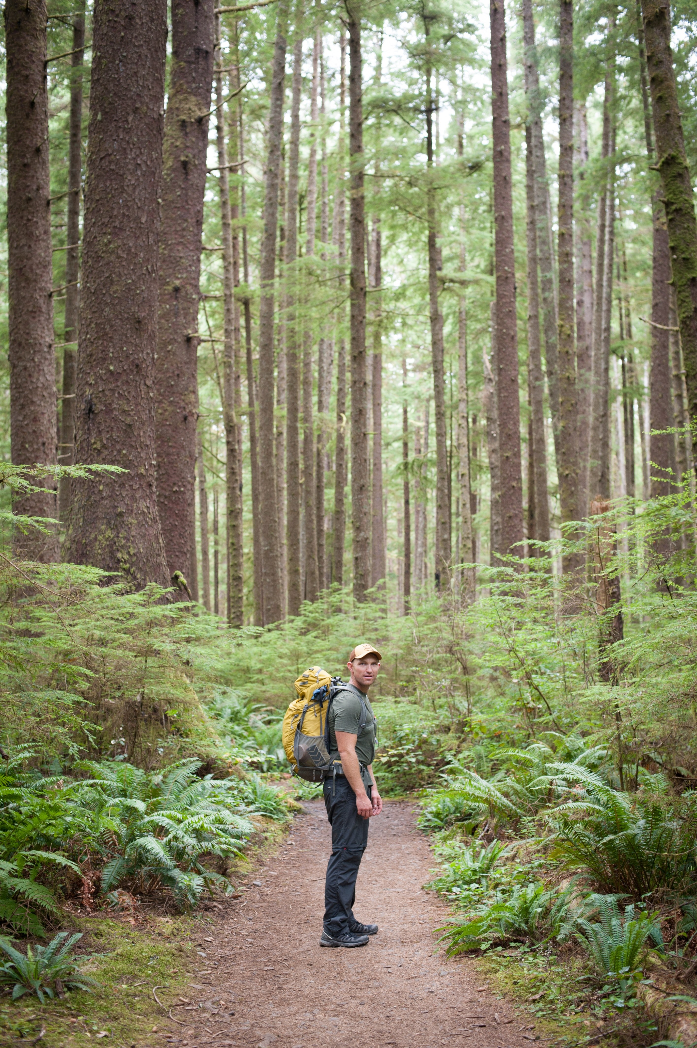 wood backpacker hike and man hd, 4k, Phone HD Wallpaper