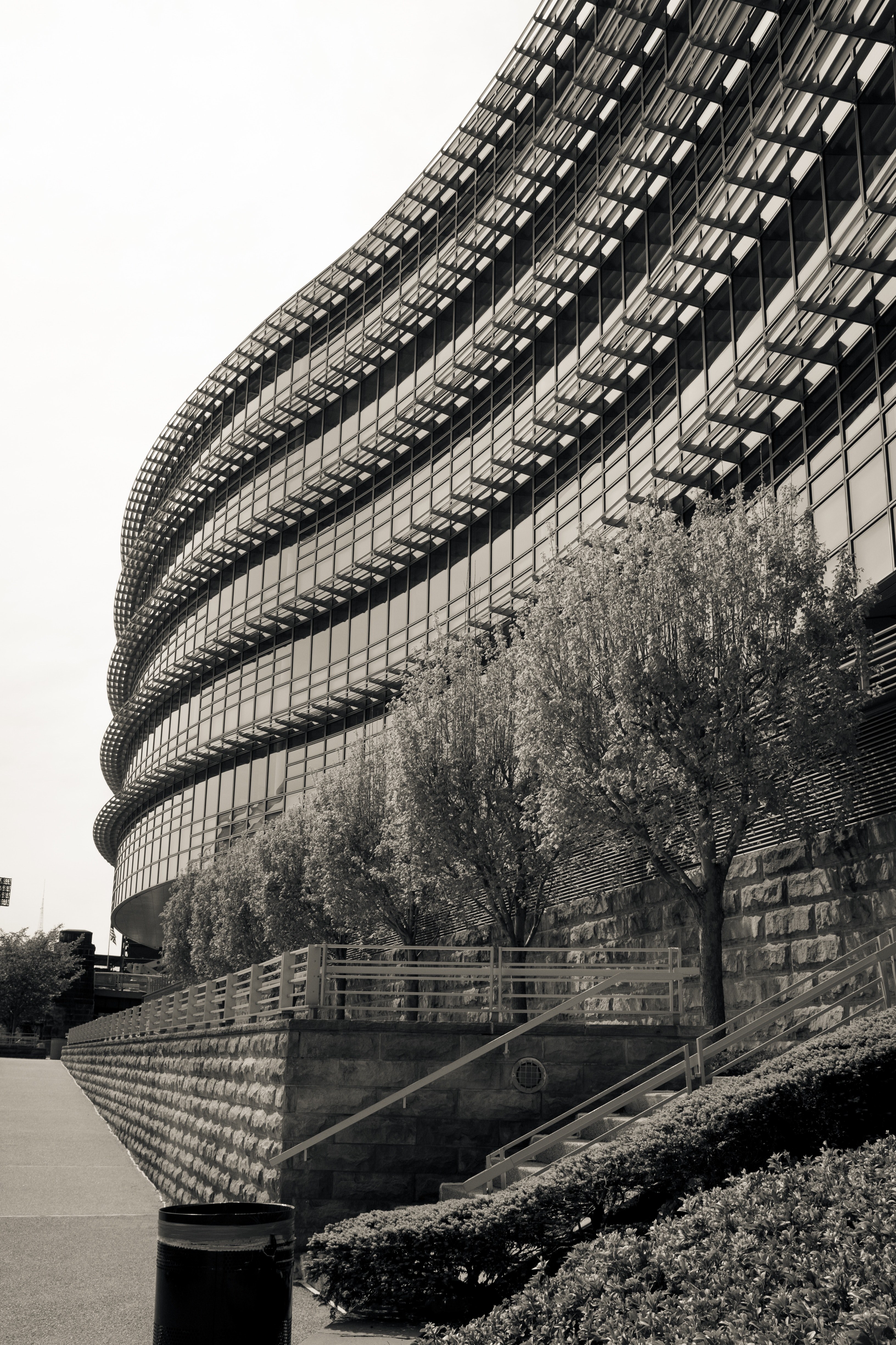 building architecture tree and monochrome hd, 4k, Phone HD Wallpaper