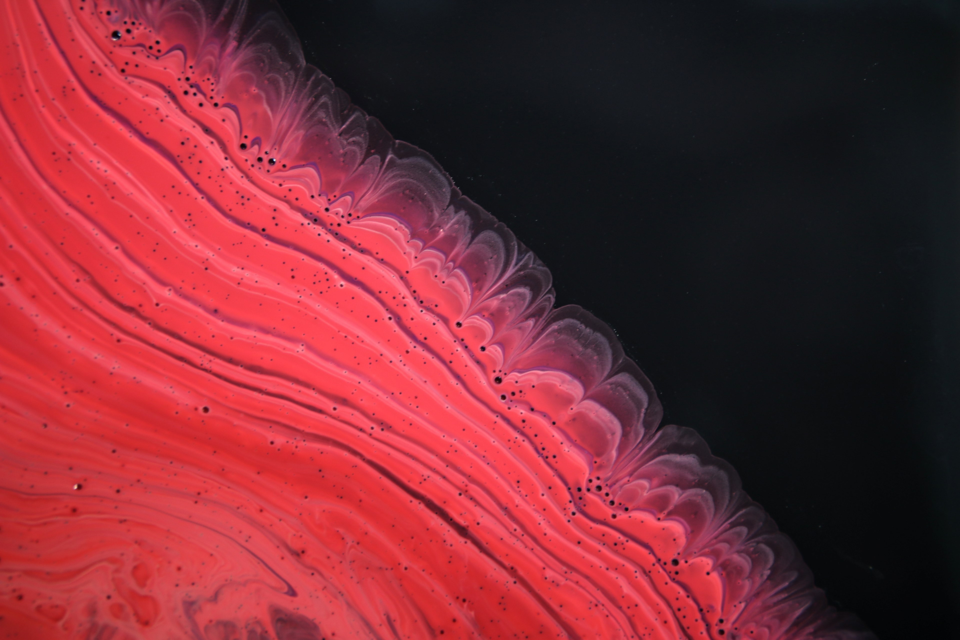 abstract fluid painting magenta tree rings 4k, HD Wallpaper