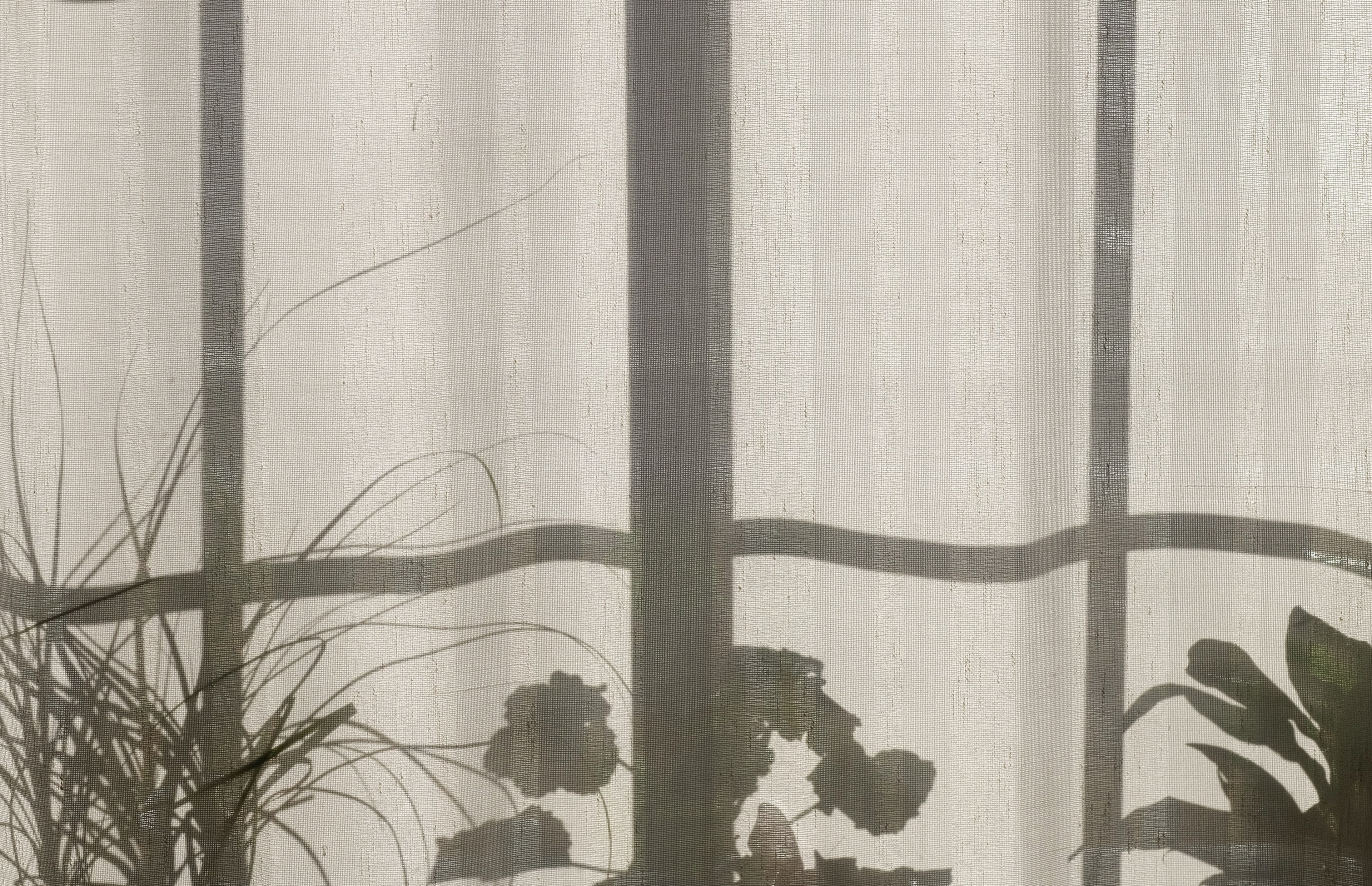 shadow of the window frame and plants in pots on the white curtain in nordfjordeid, window frame shadow on a curtain 4k, HD Wallpaper