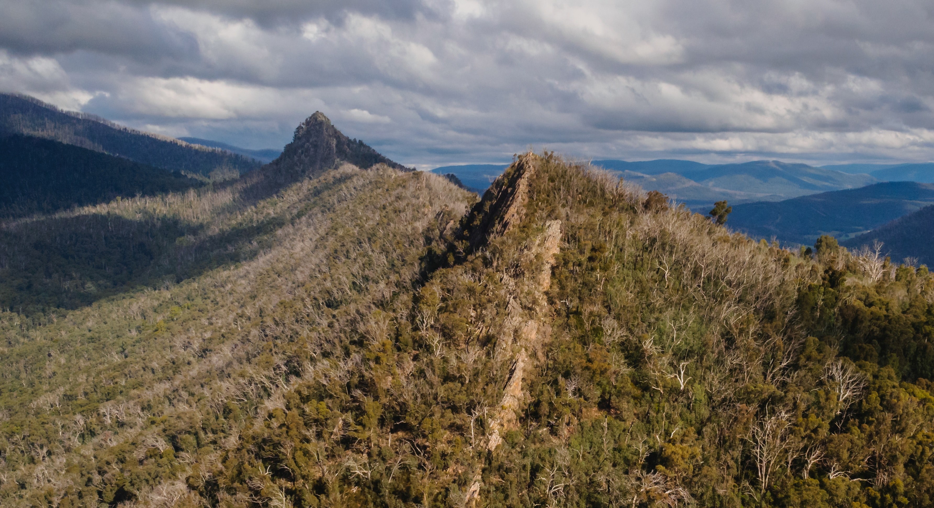mountain peaks bristling with trees under heavy clouds in cathedral range state park, prickly mountain peaks 4k, HD Wallpaper