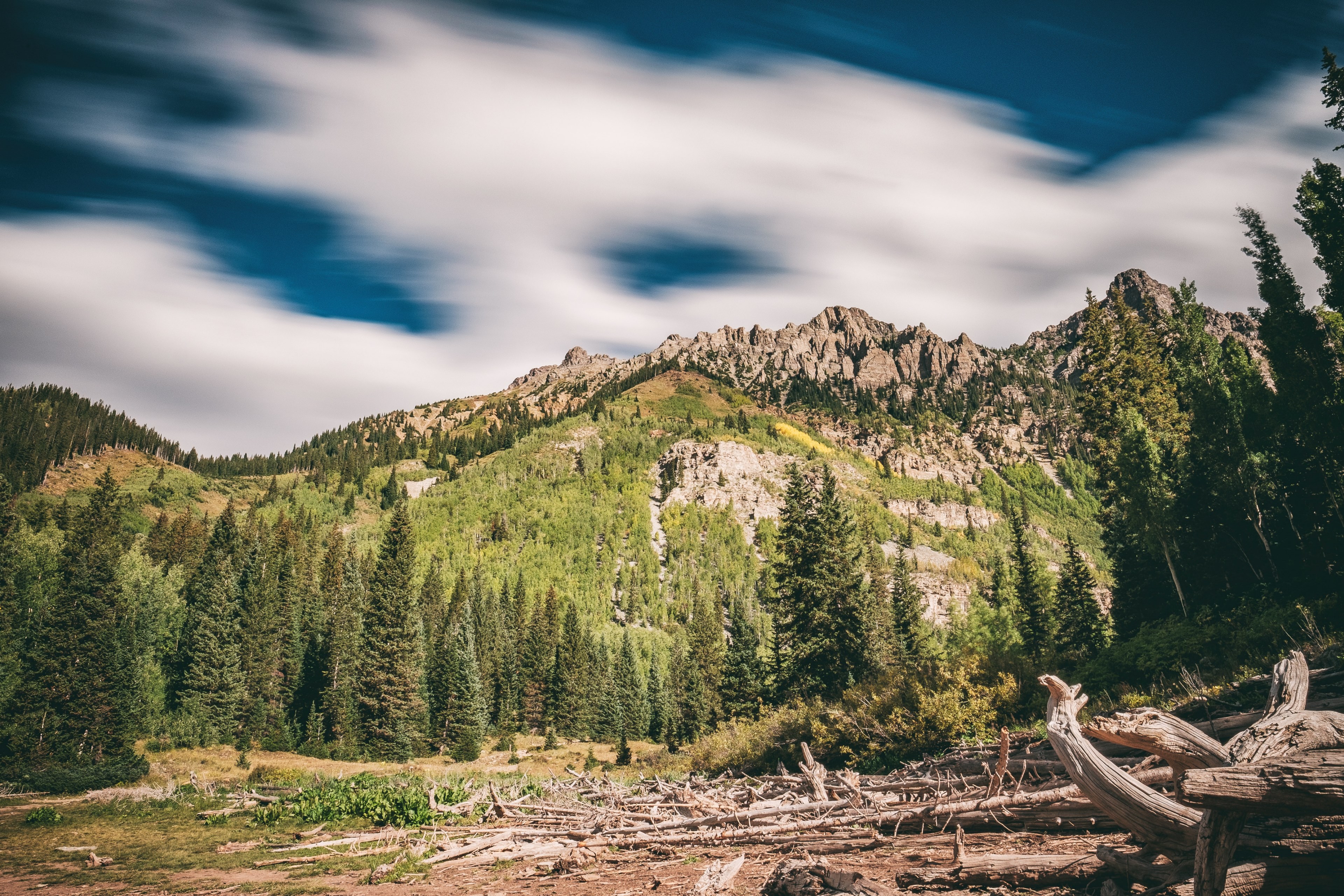 a landscape with dry branches on the ground at the foot of a steep wooded slope, peaceful mountain woods 4k, HD Wallpaper