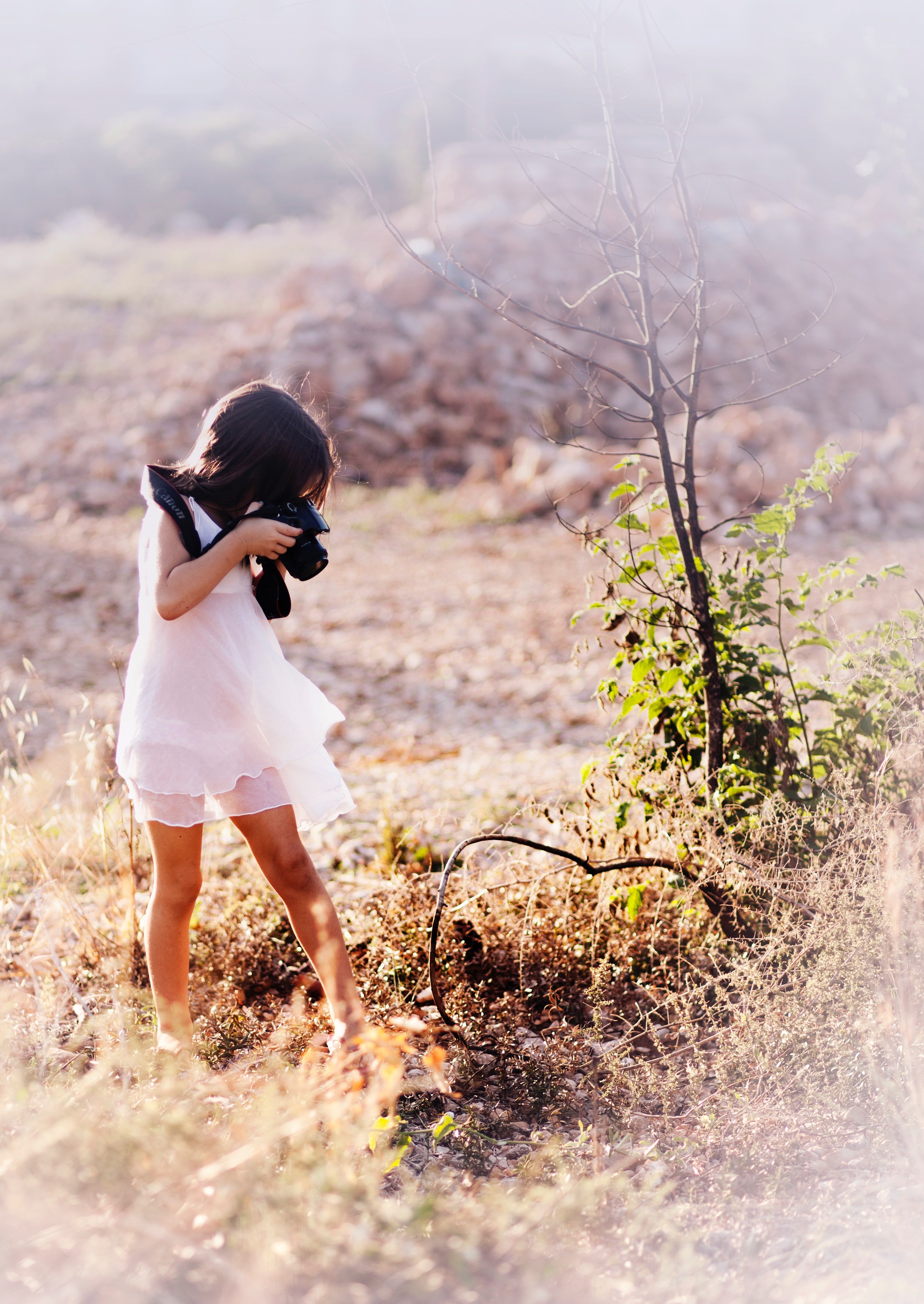 a little girl wearing a white dress taking a photograph of plants in a field, child photographer 4k, Phone HD Wallpaper