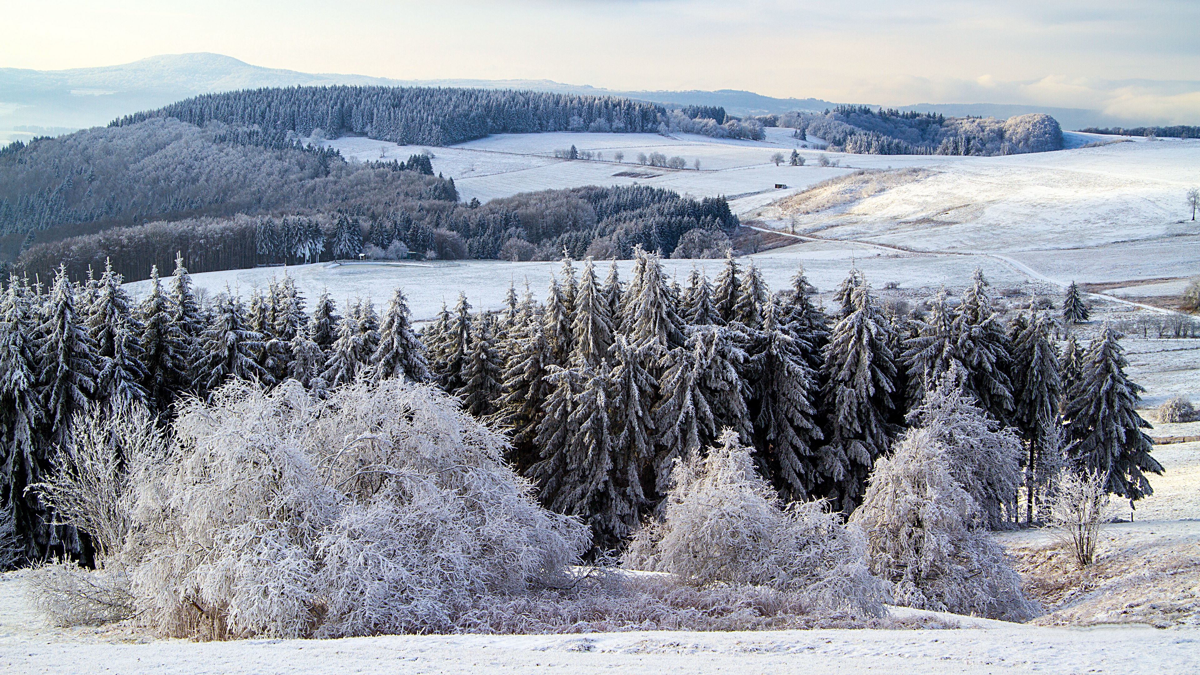 poppenhausen, germany, snow, forest, 4k, HD Wallpaper