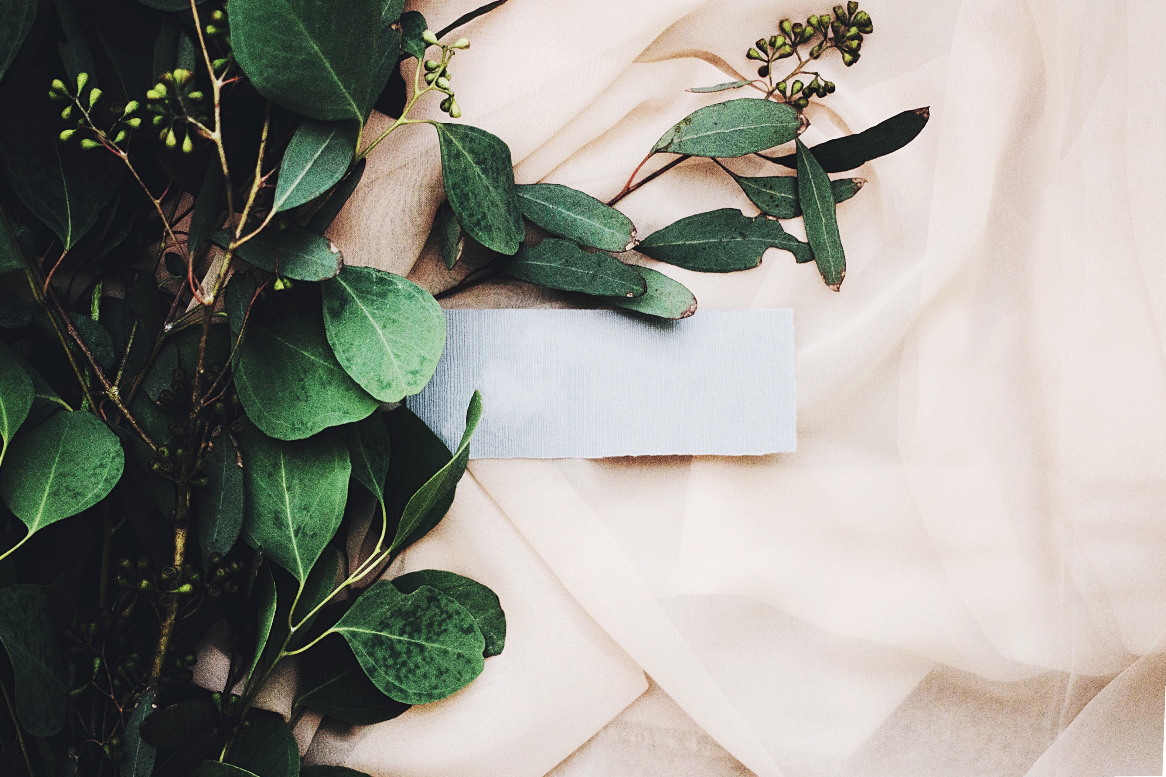 a bundle of leaves and a note against pretty pink silk fabric, pink fabric 4k, HD Wallpaper