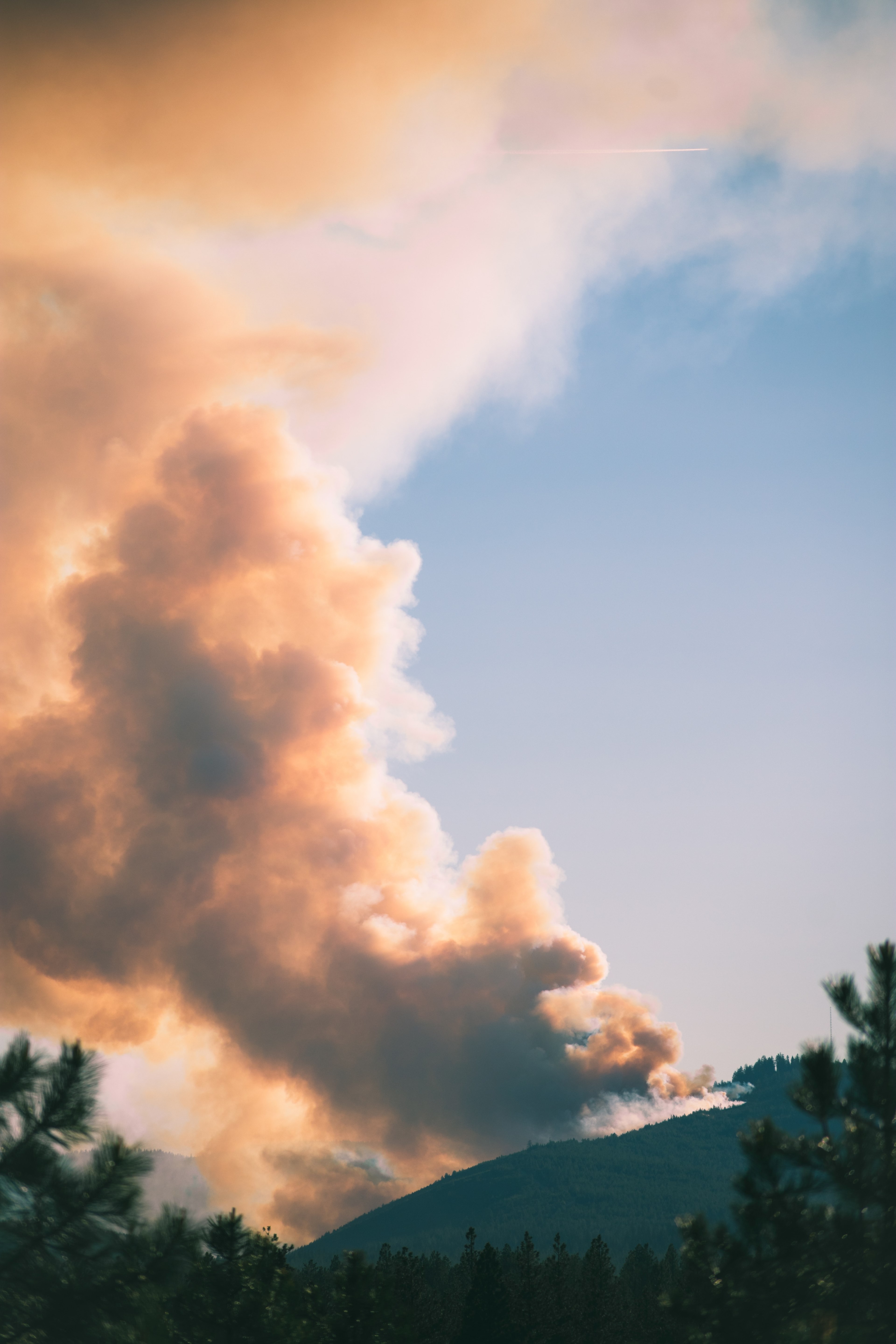 a heavy cloud of smoke rising up from a burning forest in the distance, forest fire 4k, Phone HD Wallpaper
