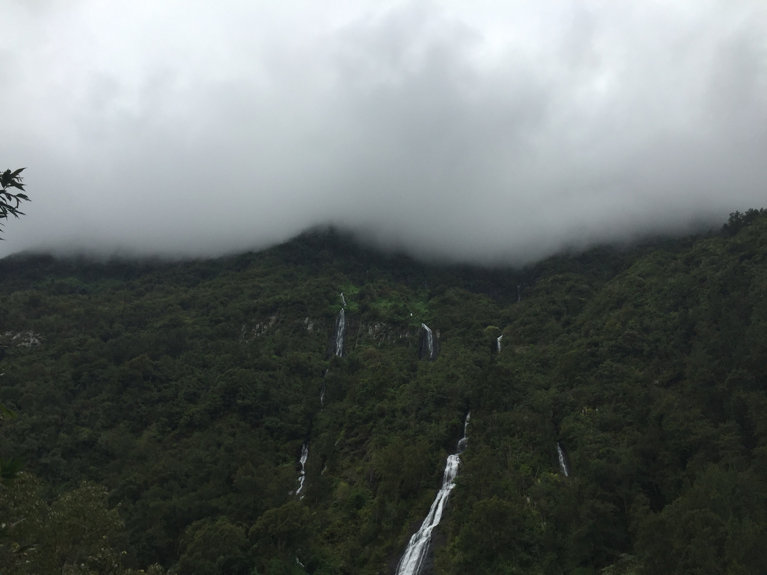 several waterfalls running down a wooded slope, waterfalls in the woods 4k, HD Wallpaper