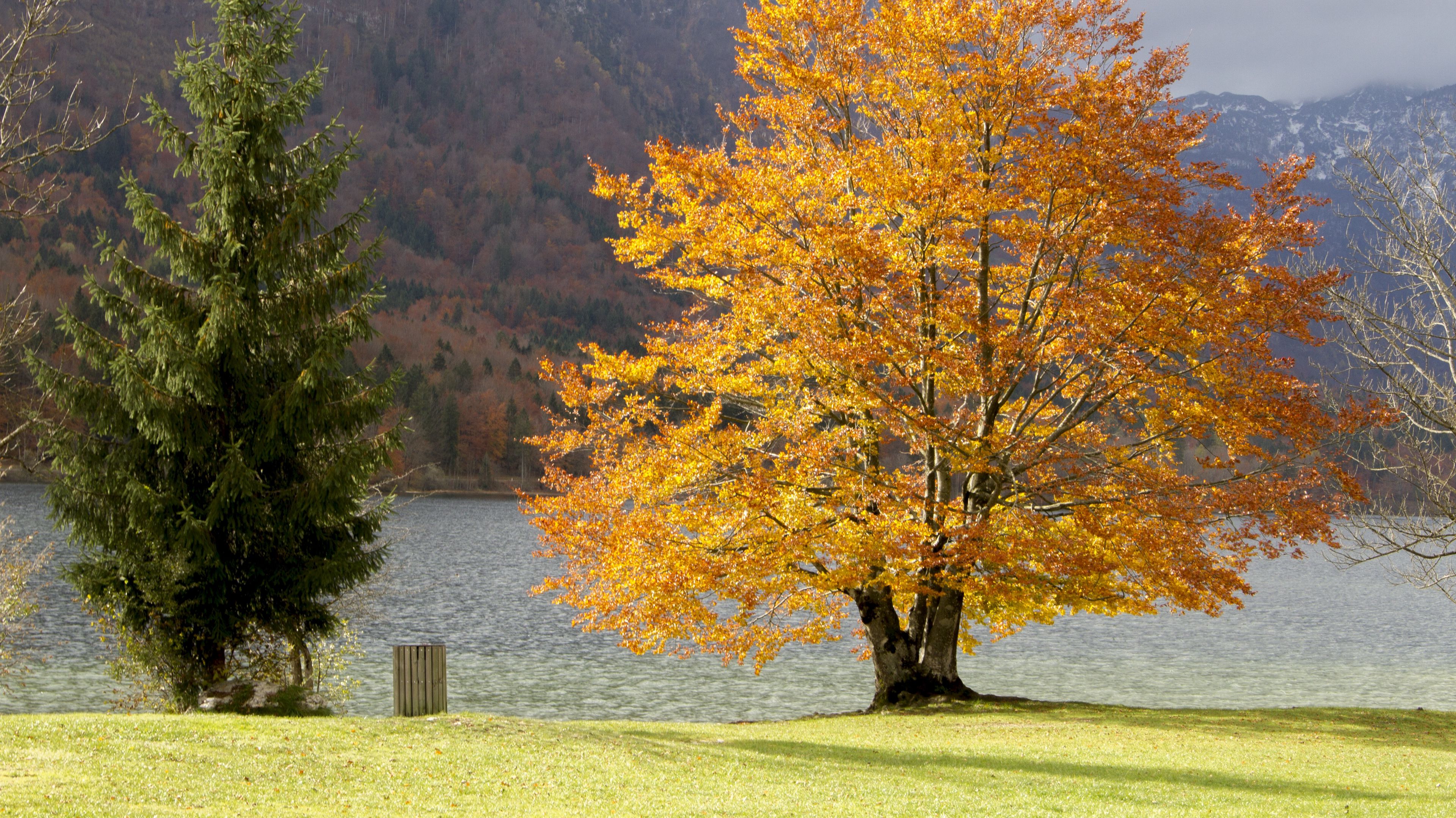 trees, mountains, lake, grass, 4k, HD Wallpaper