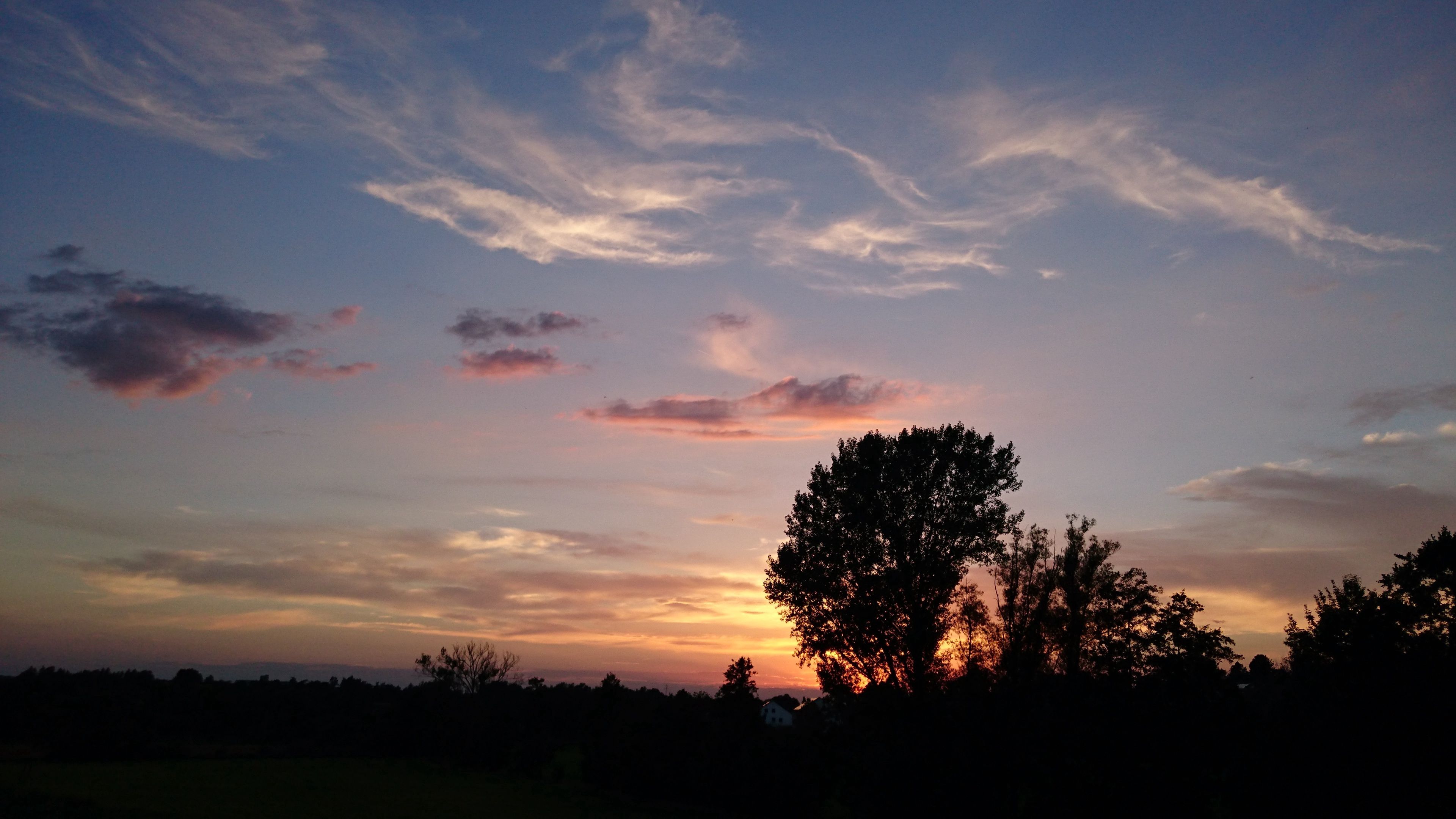 sunset, sky, trees, clouds, 4k, HD Wallpaper