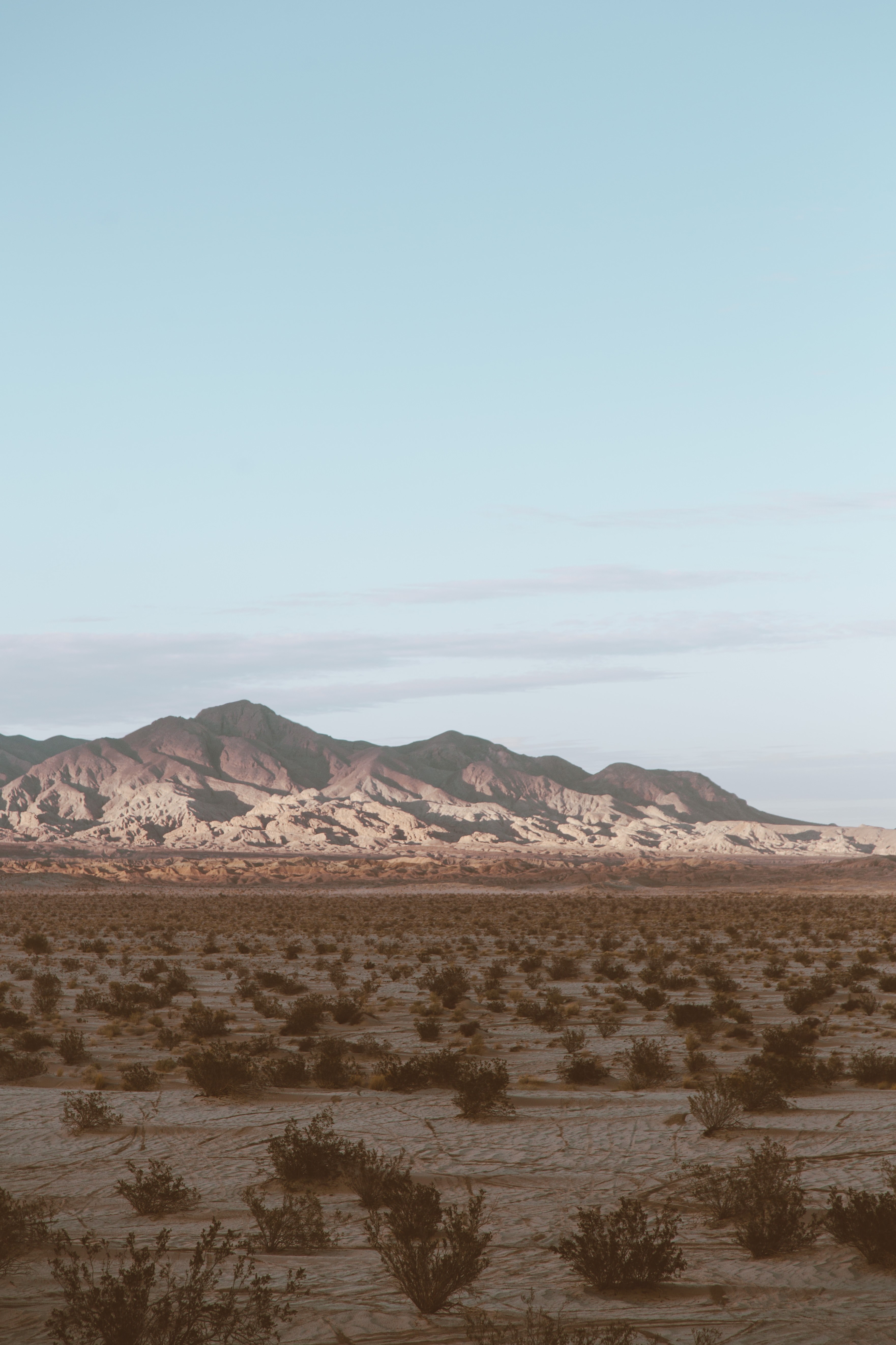 dirt plant southern californium and mountain range hd, 4k, Phone HD Wallpaper