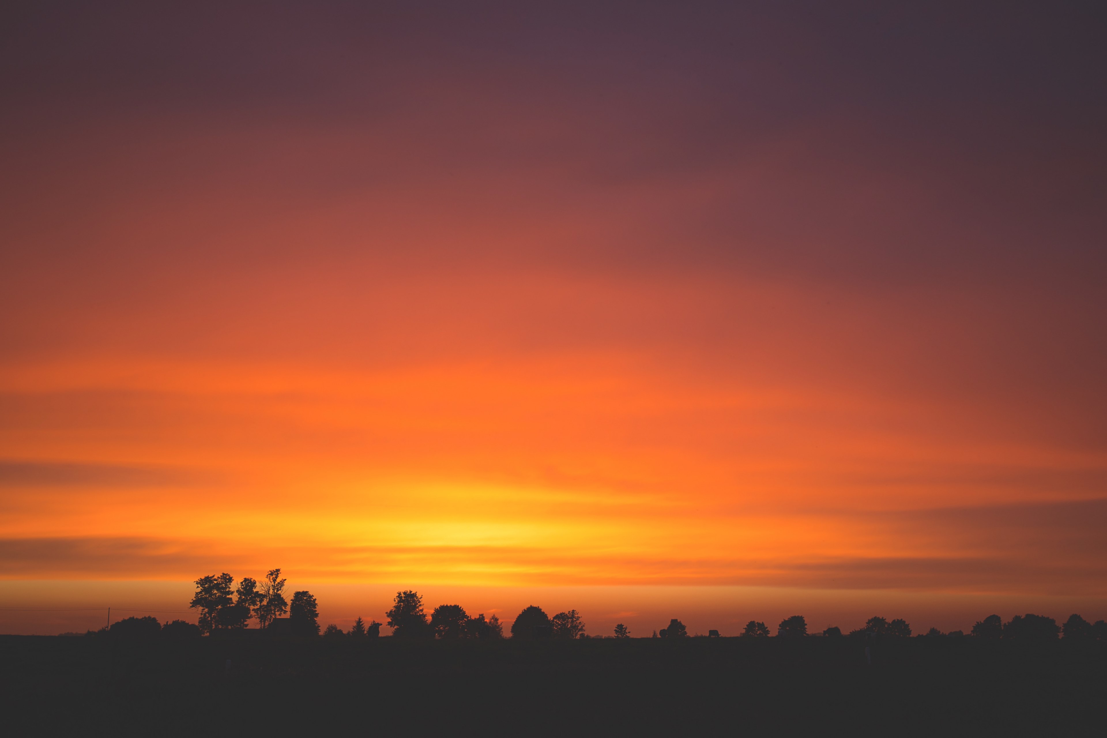 dark silhouettes of trees against the twilight skies, tree silhouettes against orange sky 4k, HD Wallpaper