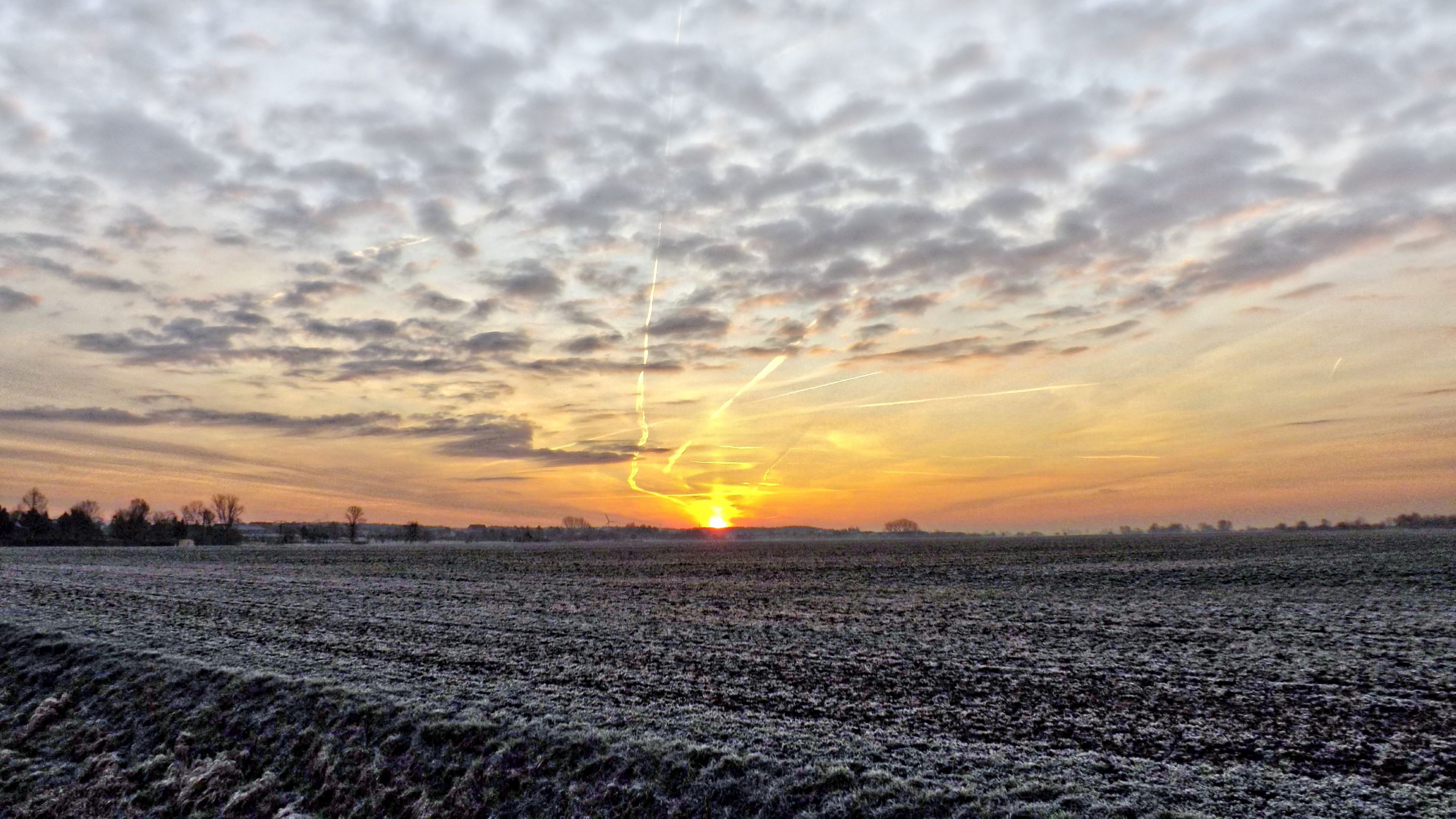 fog, field, sky, frost, hdr, 4k, HD Wallpaper