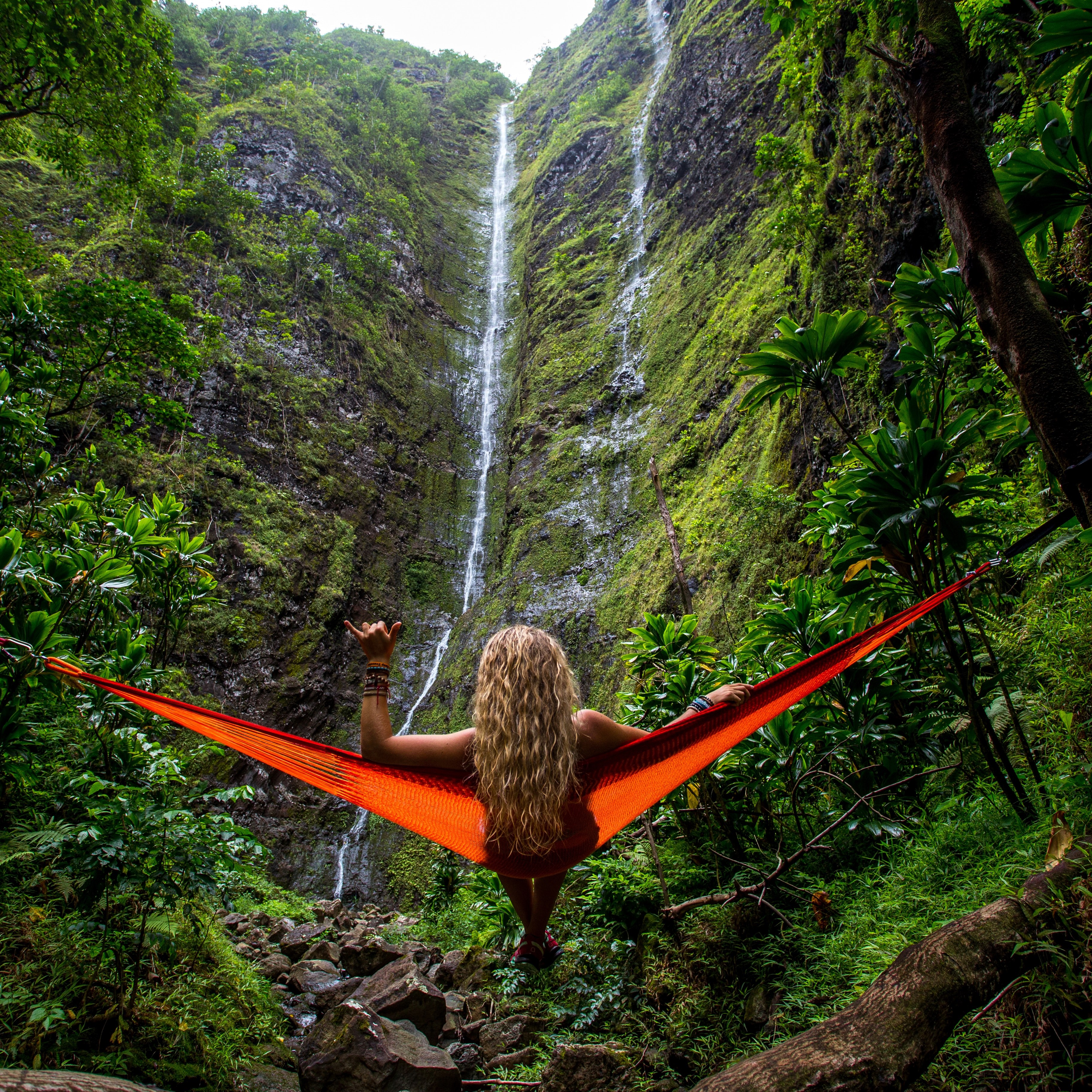 lost in the wilderness follow kalenemsley on ig 4k, HD Wallpaper