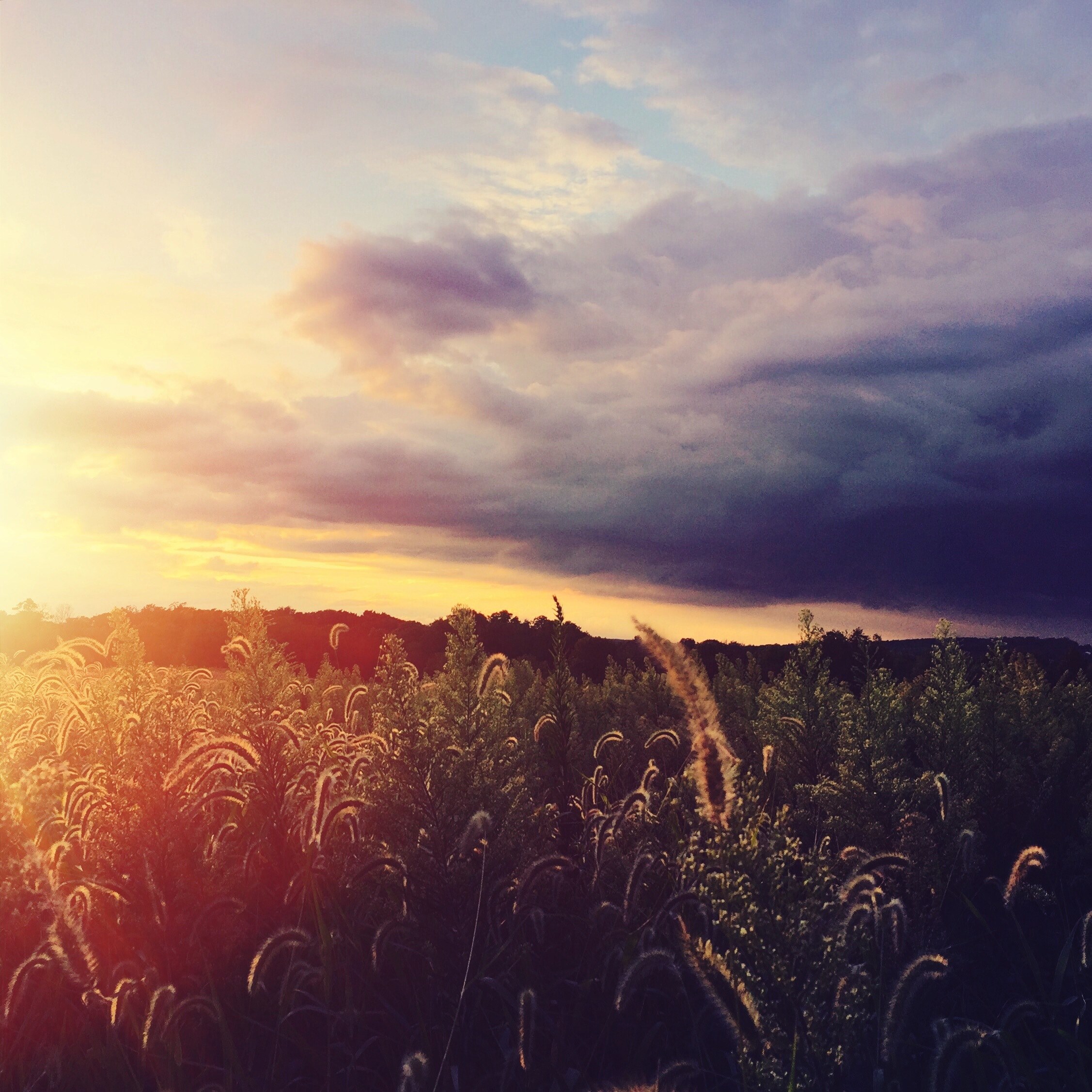 contrast nature sky and conflict 4k, HD Wallpaper