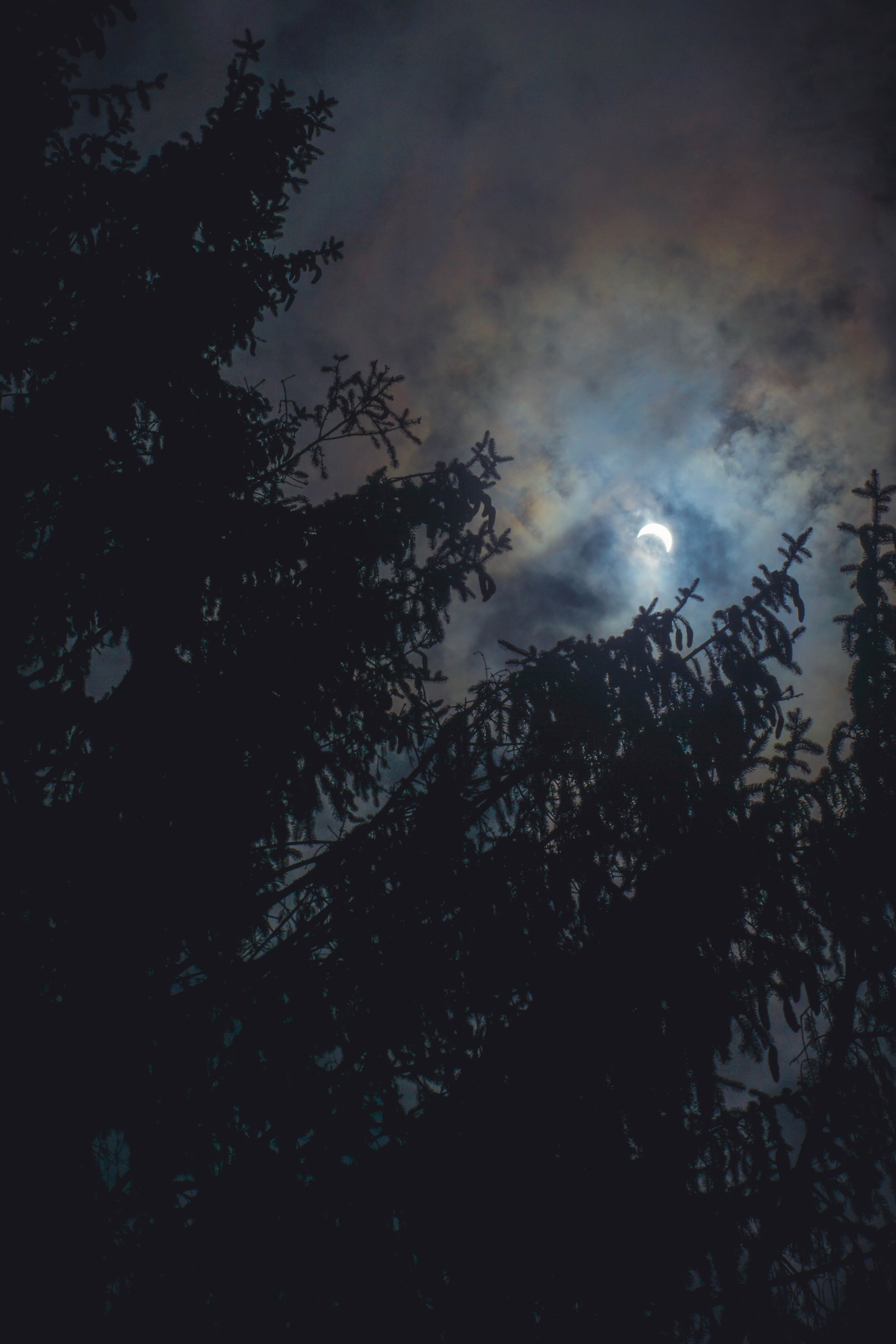 brief moment of being able to see the eclipse_ 4k, Phone HD Wallpaper