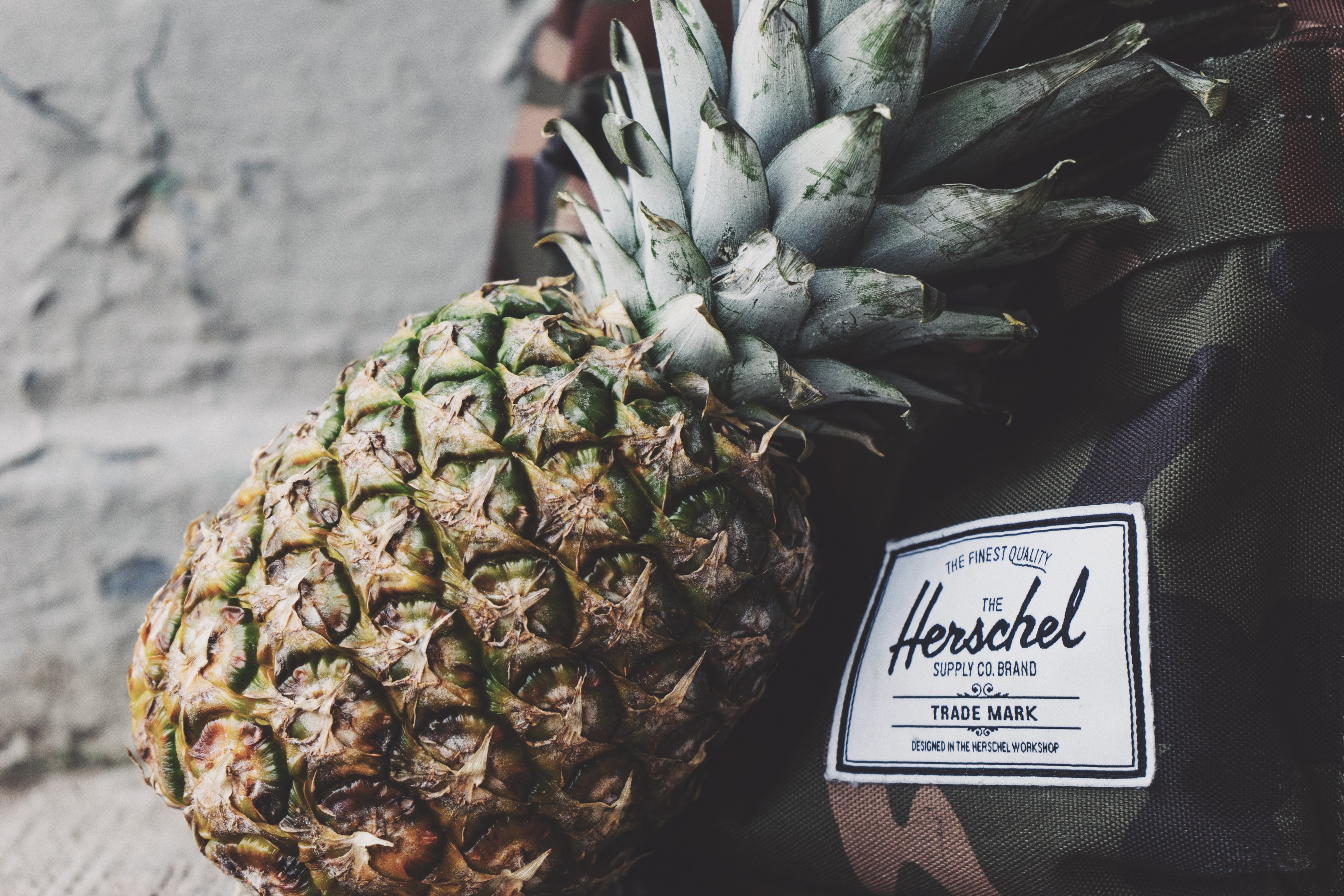 a pineapple leaning against a backpack, _pineapple and backpack 4k, HD Wallpaper