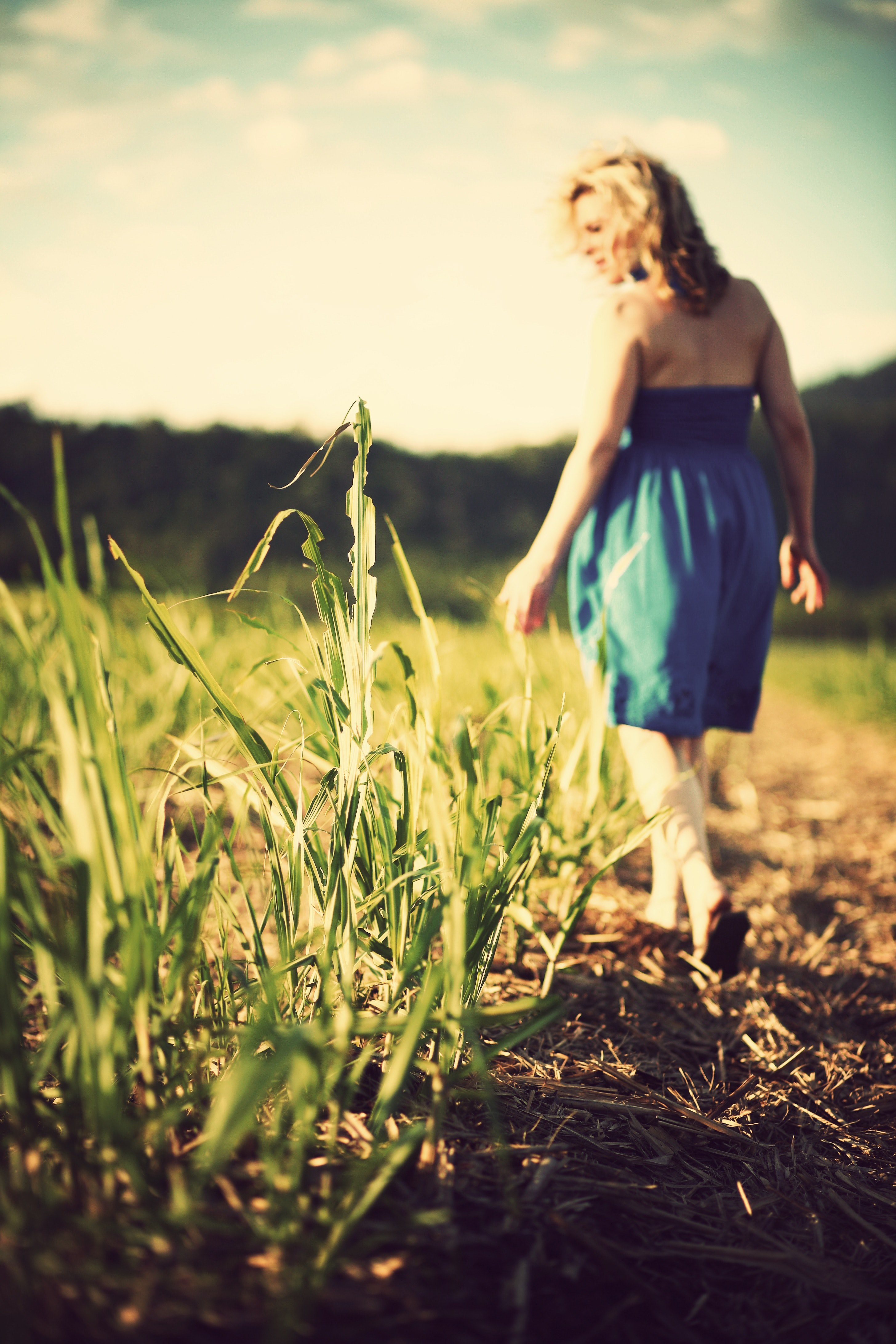 a blonde woman with a blue dress walking down a path of hay looking at the field of growing tallgrass, countryside walks 4k, Phone HD Wallpaper