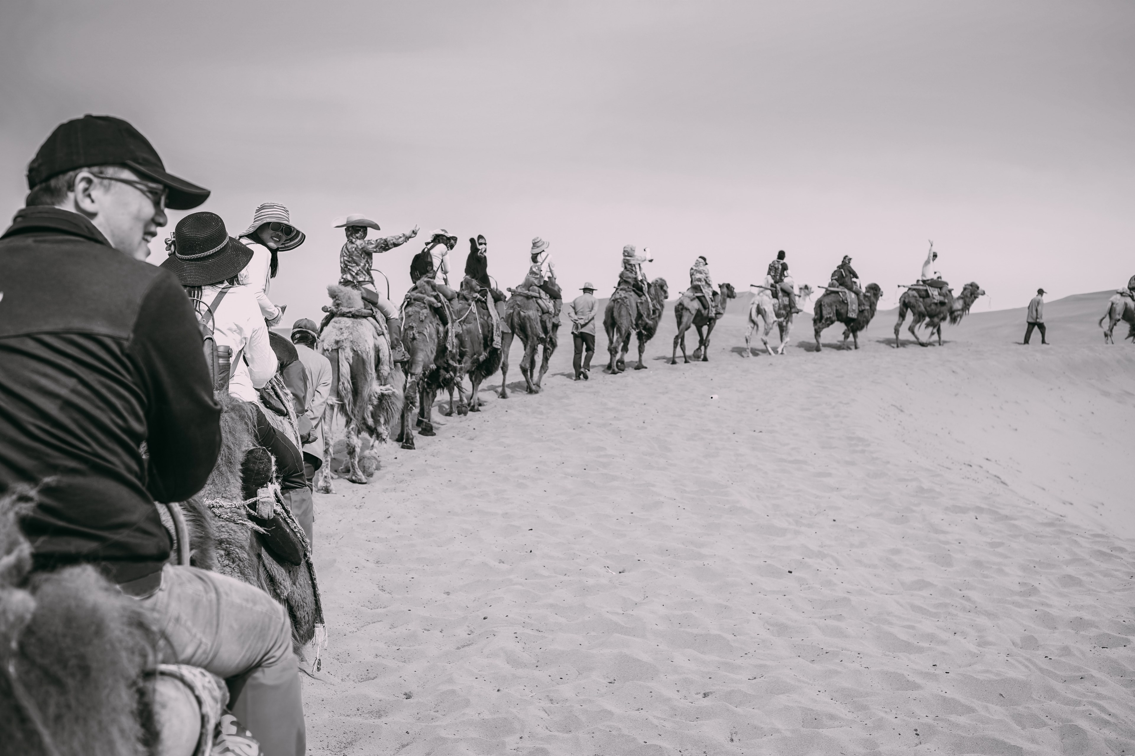 a group of tourists rides a line of camels in the desert with guides on foot, tourists riding camels 4k, HD Wallpaper