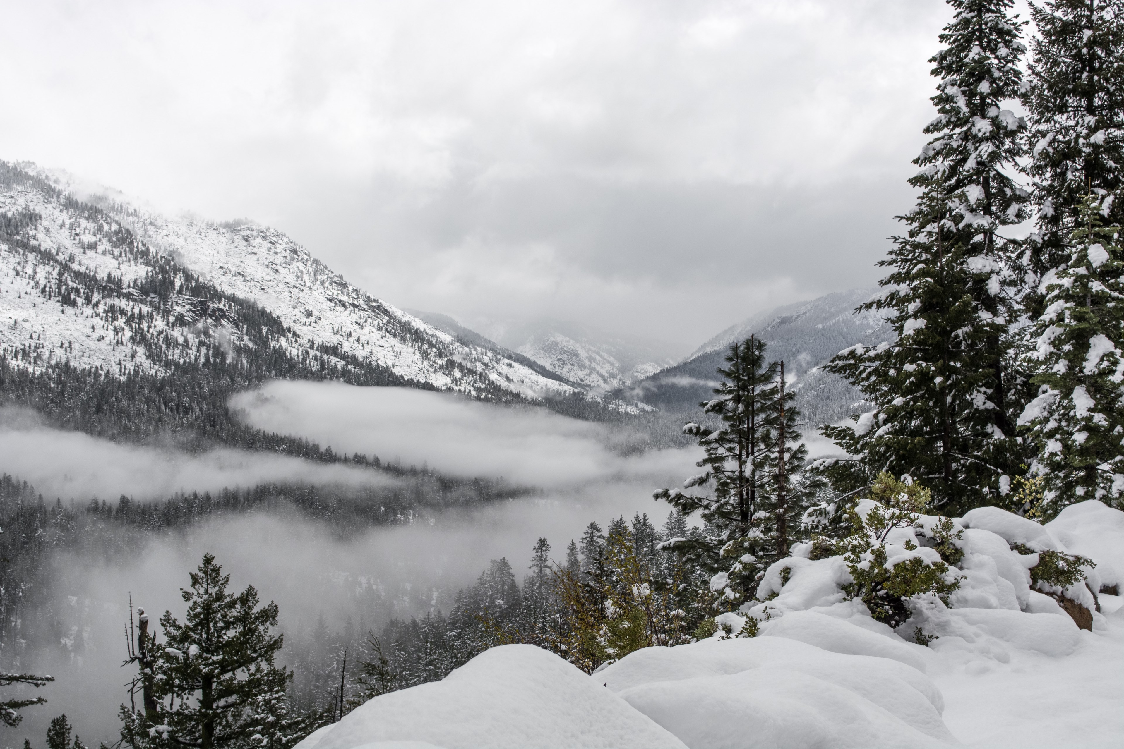 a winter landscape of snow capped wooded slopes under a fog, snowy wooded hill 4k, HD Wallpaper