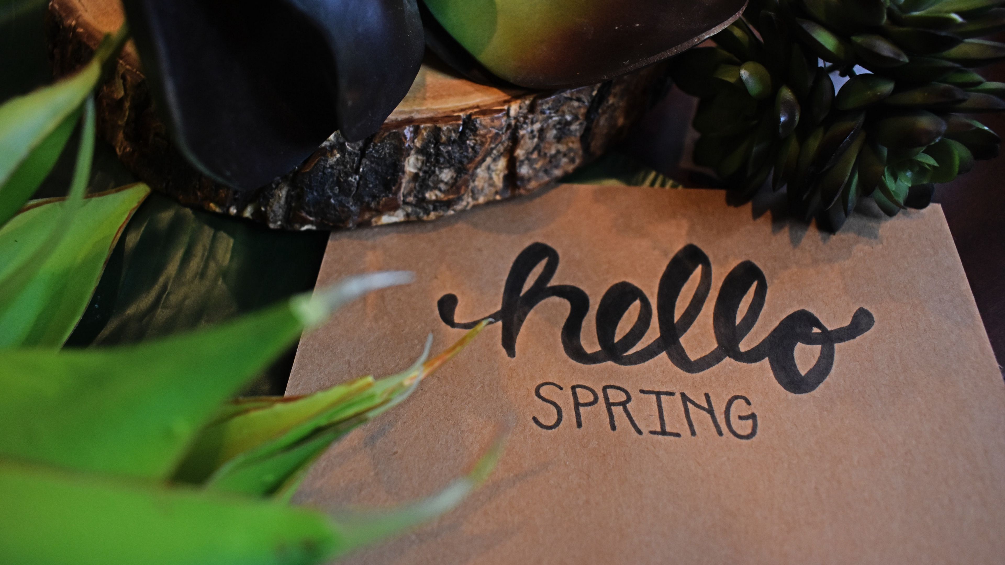 inscription, words, spring, 4k, HD Wallpaper
