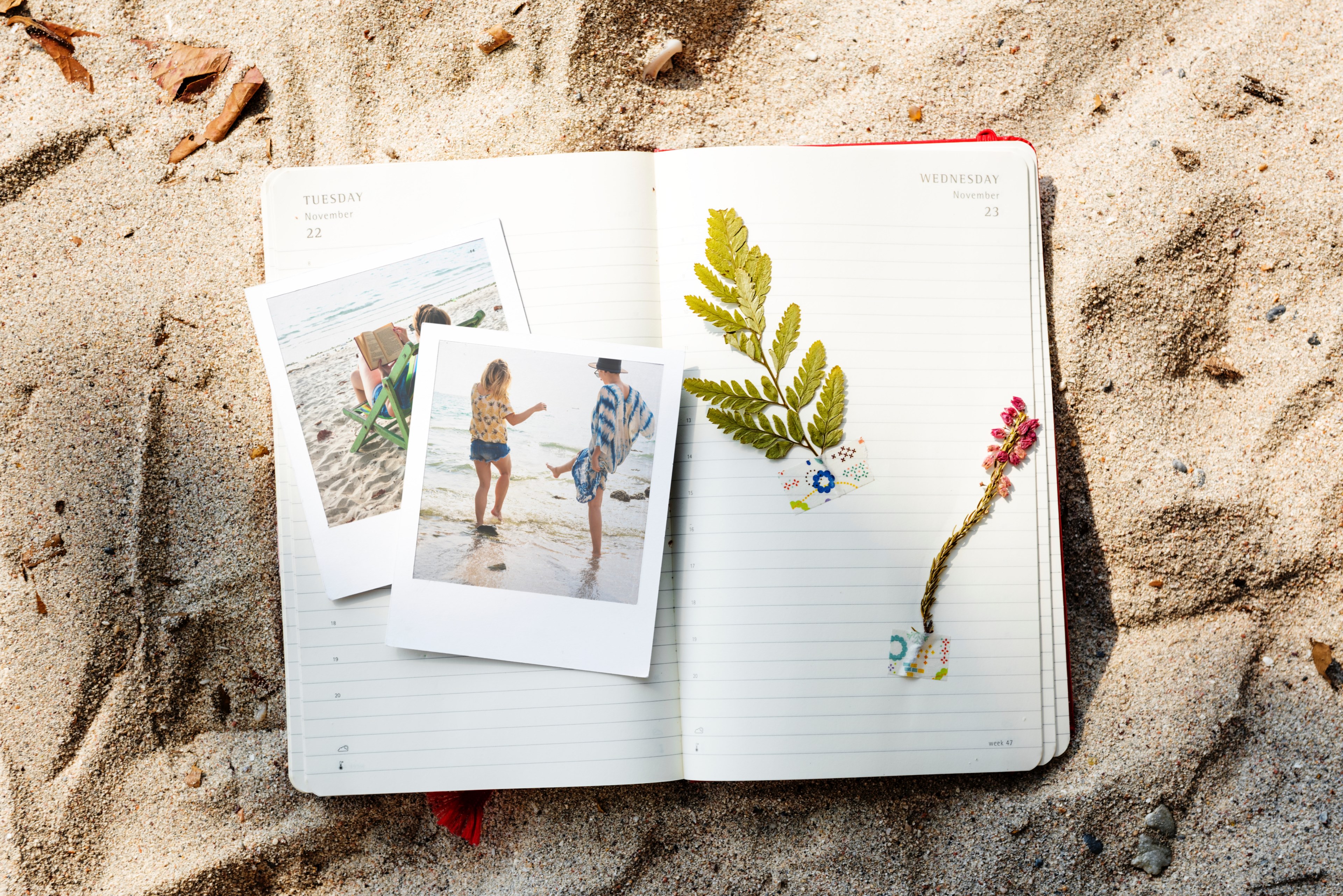 young wanderlust vacation and trip 4k, HD Wallpaper