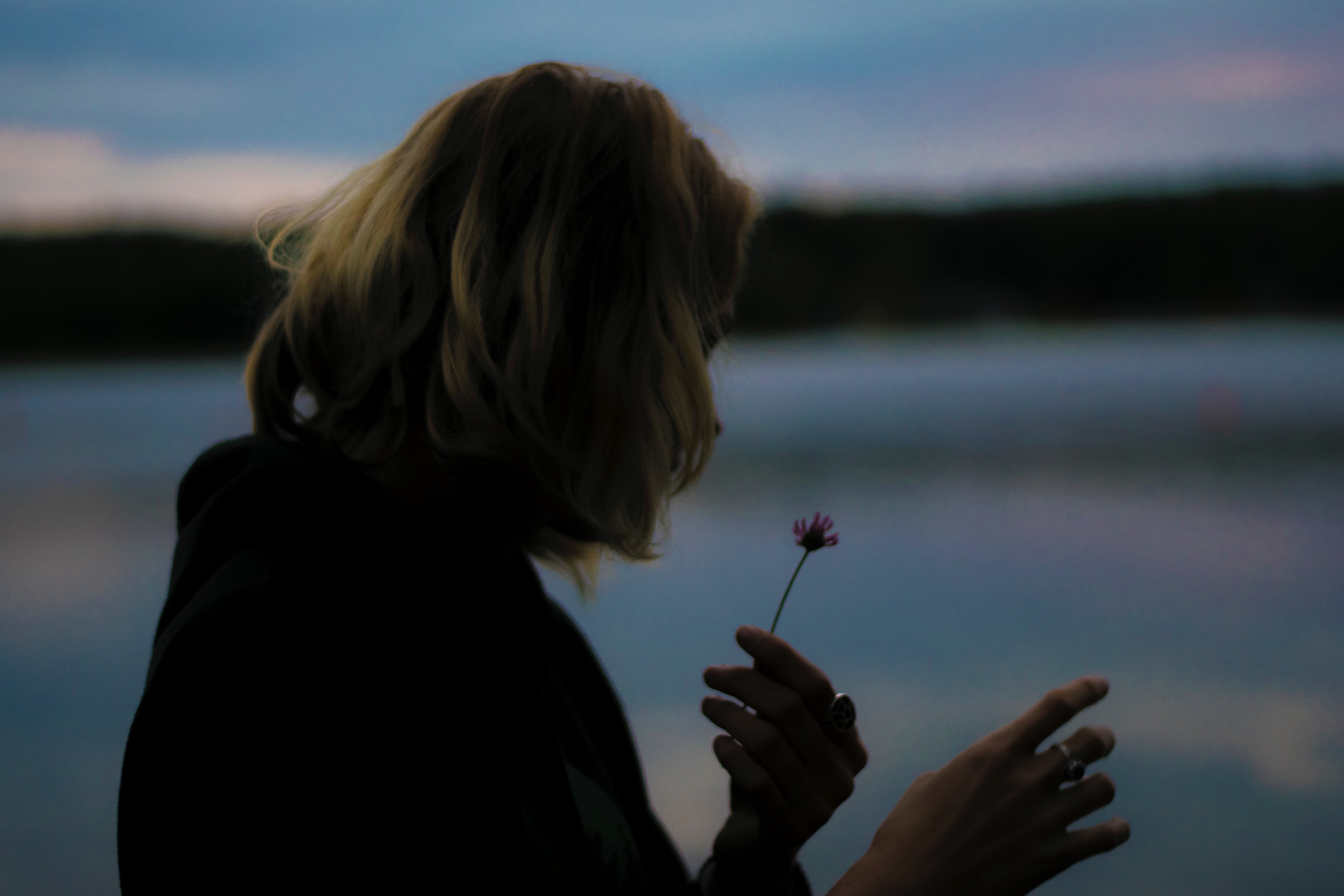 a dim shot of a woman looking at a small pink flower in her hand, he loves me he loves me not 4k, HD Wallpaper