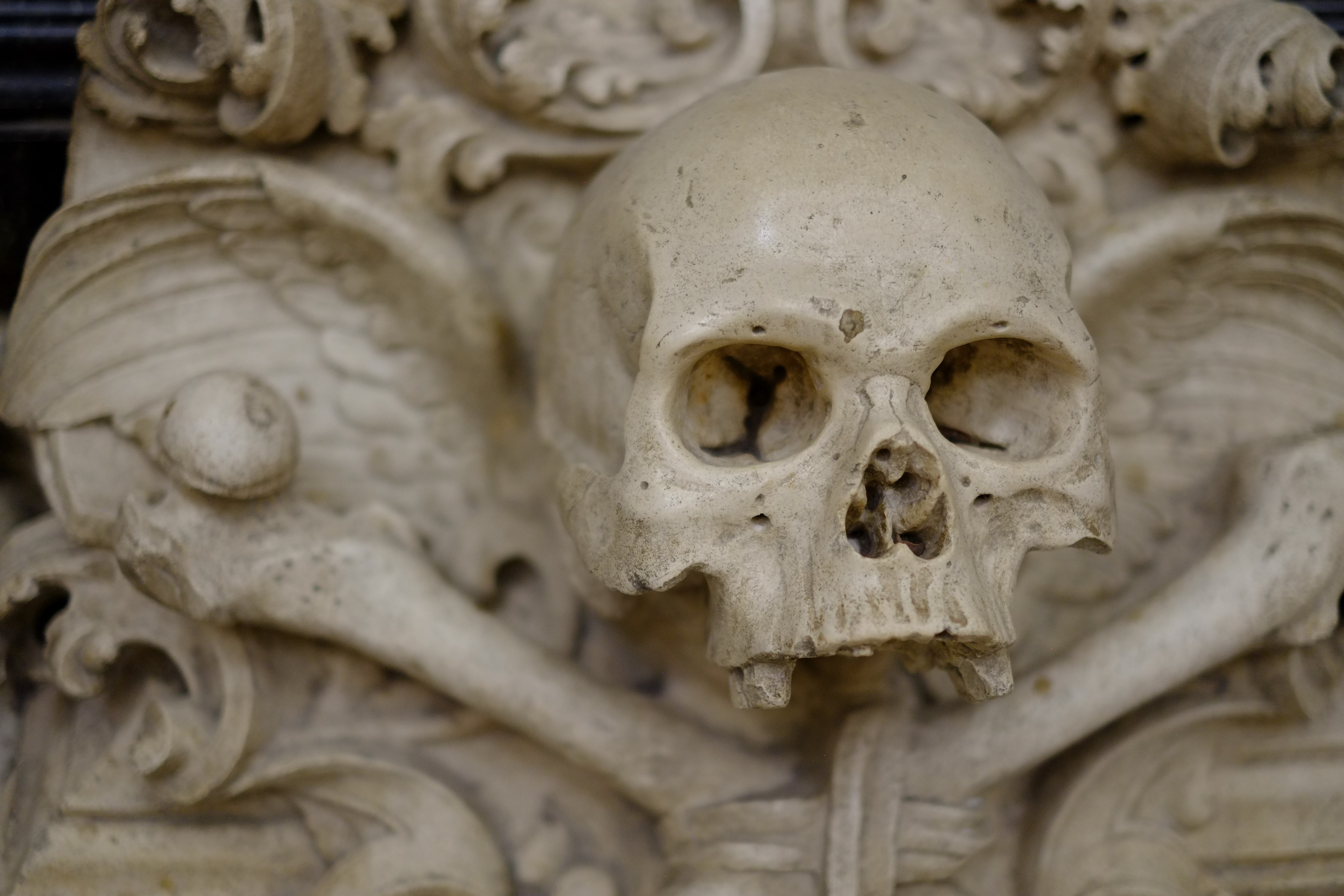 skeleton skull sculpture and statue 4k, HD Wallpaper