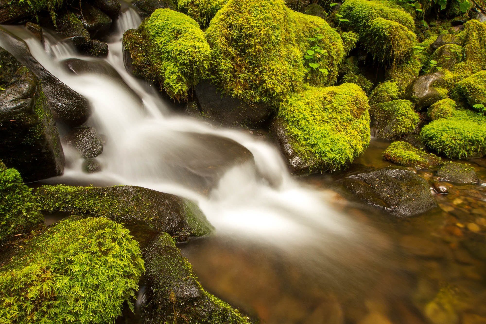 misty waterfall rushes down mossy rocks, serene waterfall 4k, HD Wallpaper