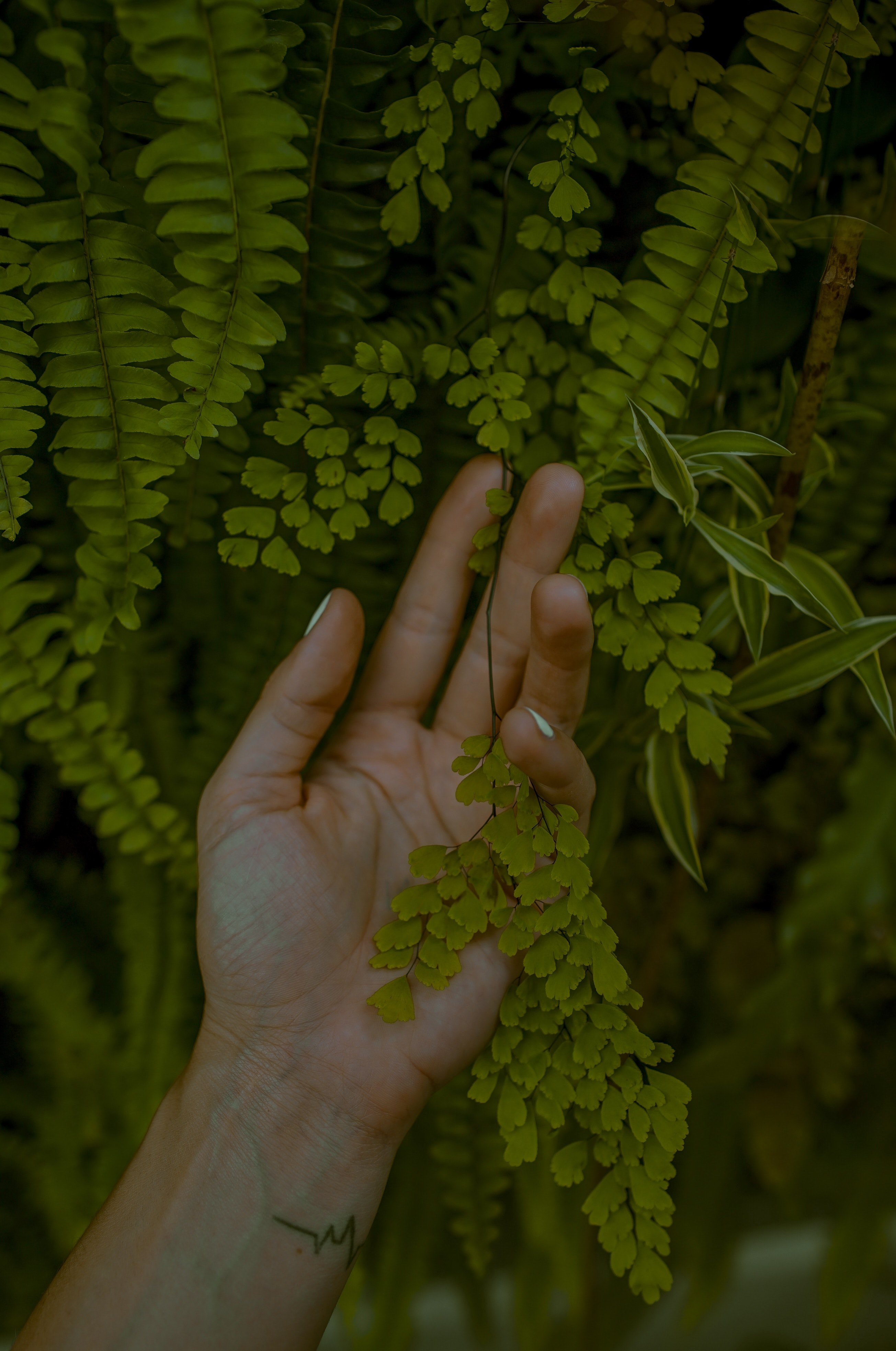 fragile touch 4k, Phone HD Wallpaper